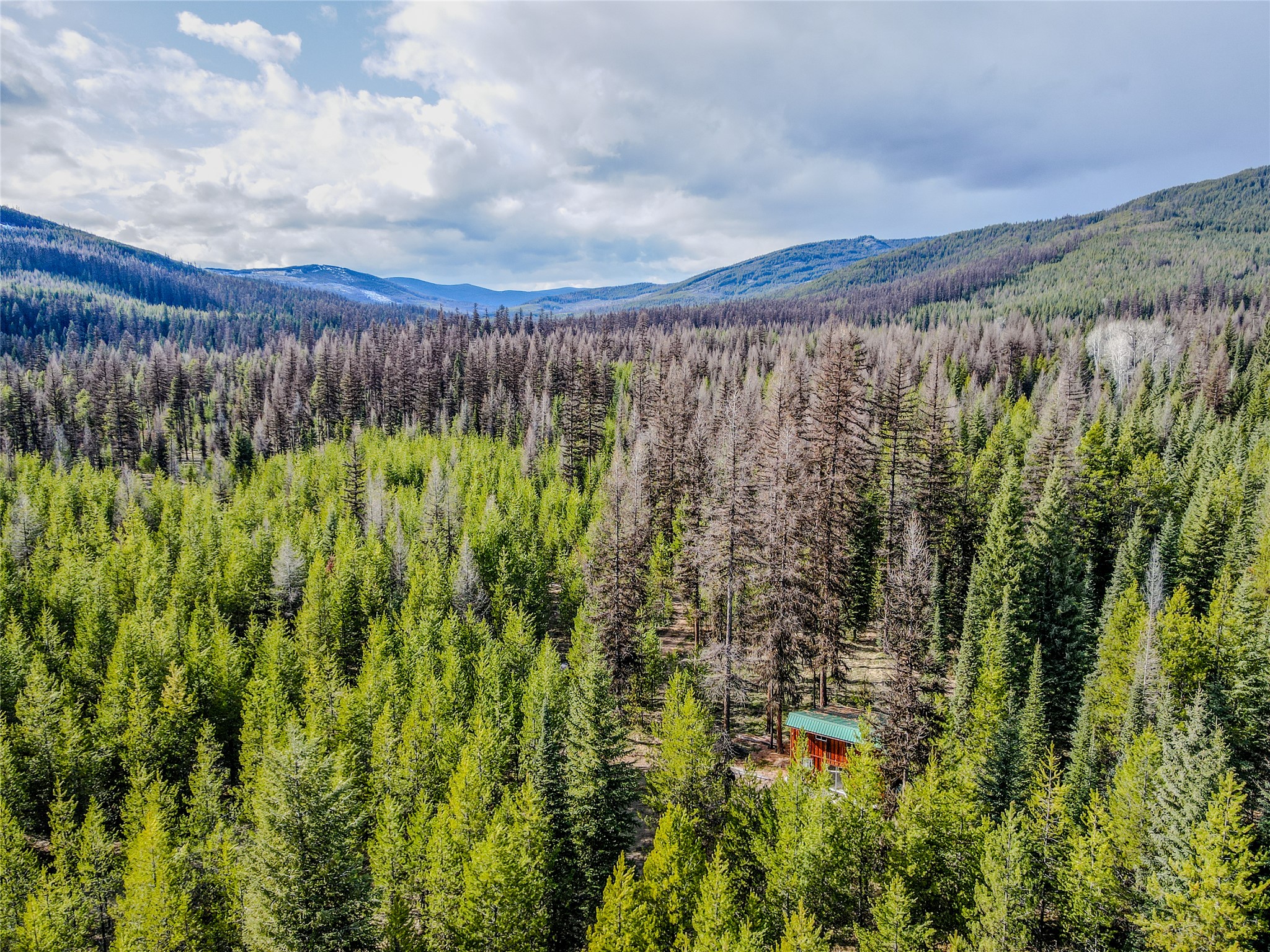 1656 N Fork Yaak Road Property Photo 30