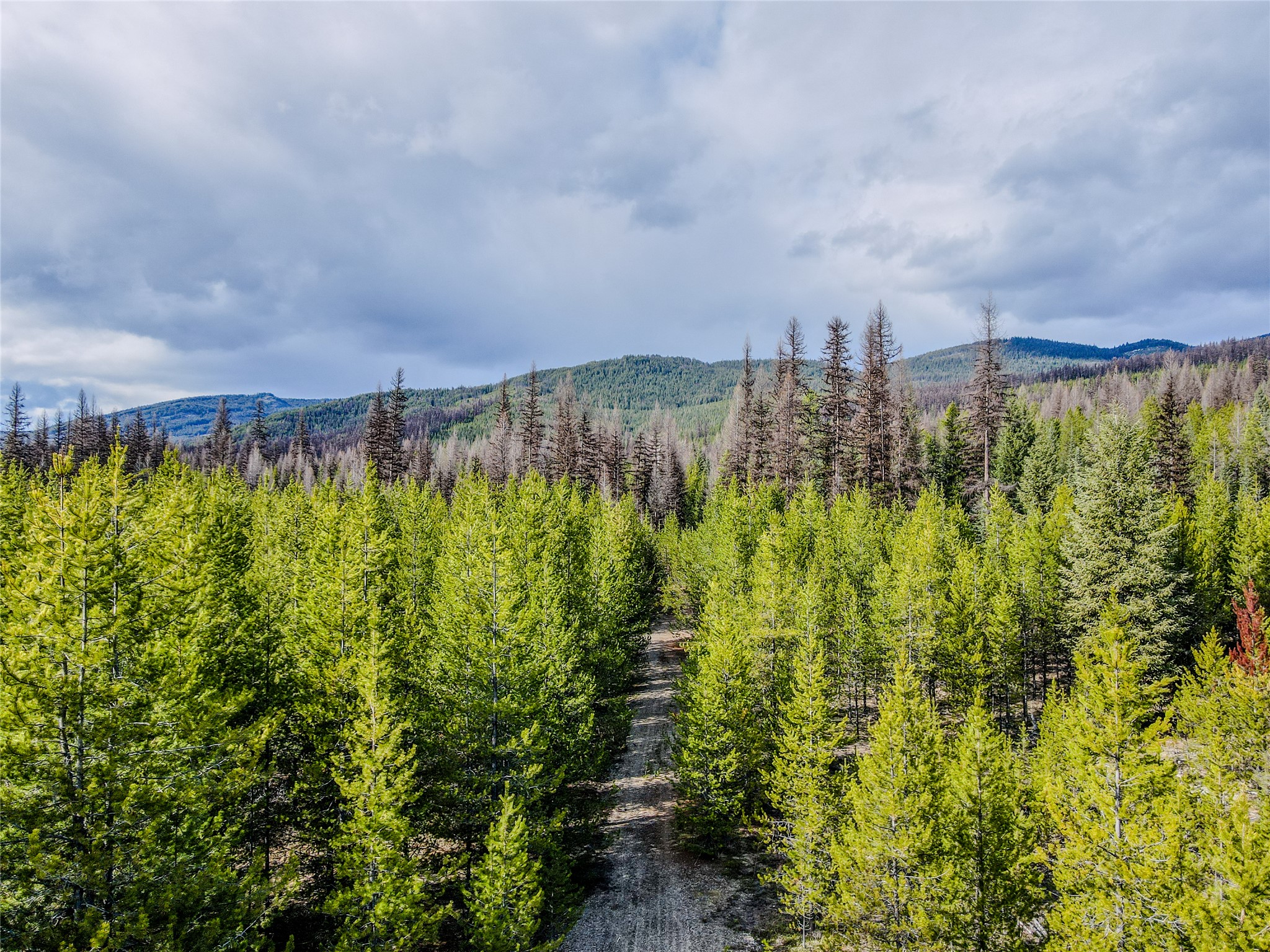 1656 N Fork Yaak Road Property Photo 32