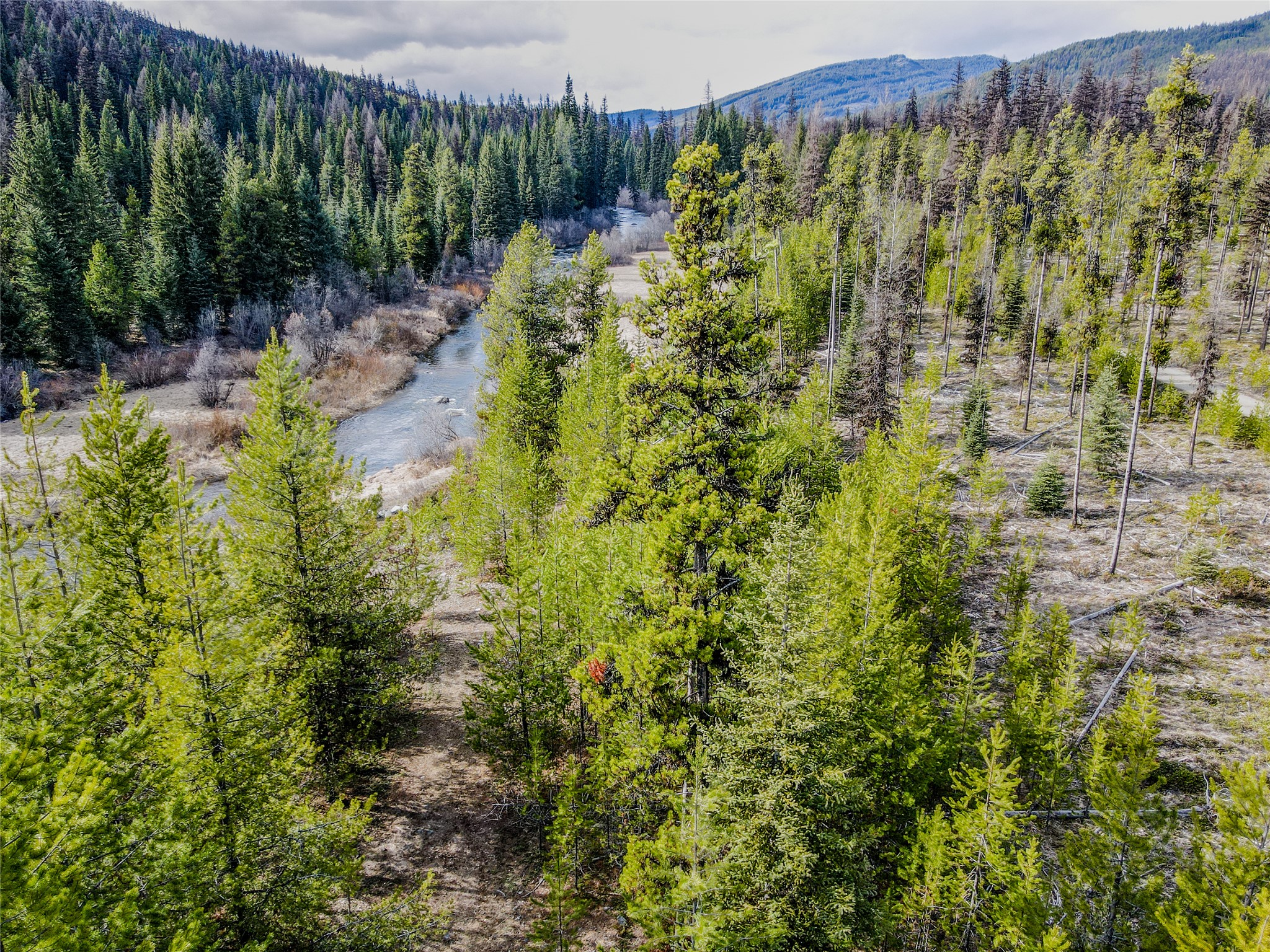 1656 N Fork Yaak Road Property Photo 35