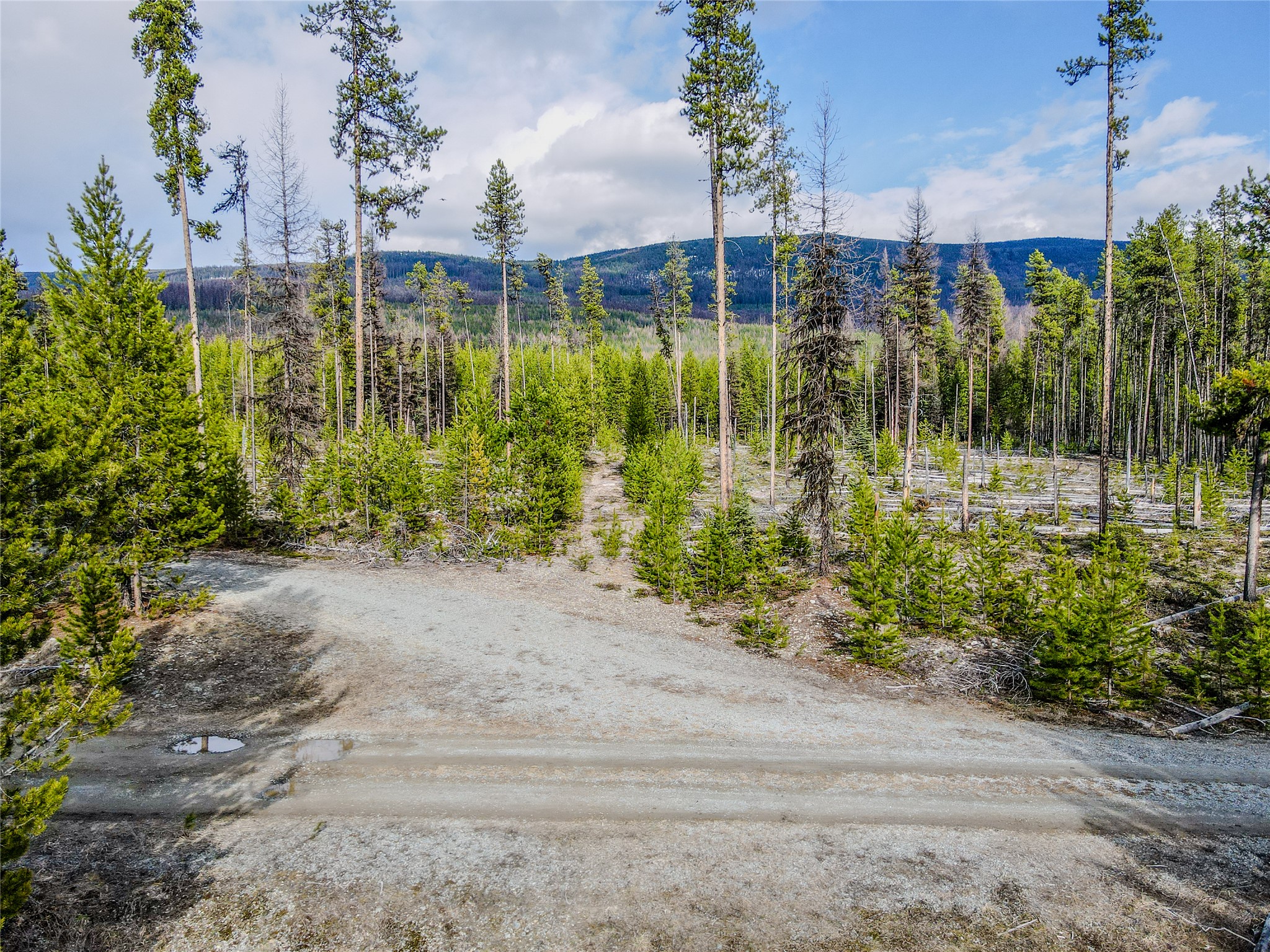 1656 N Fork Yaak Road Property Photo 37