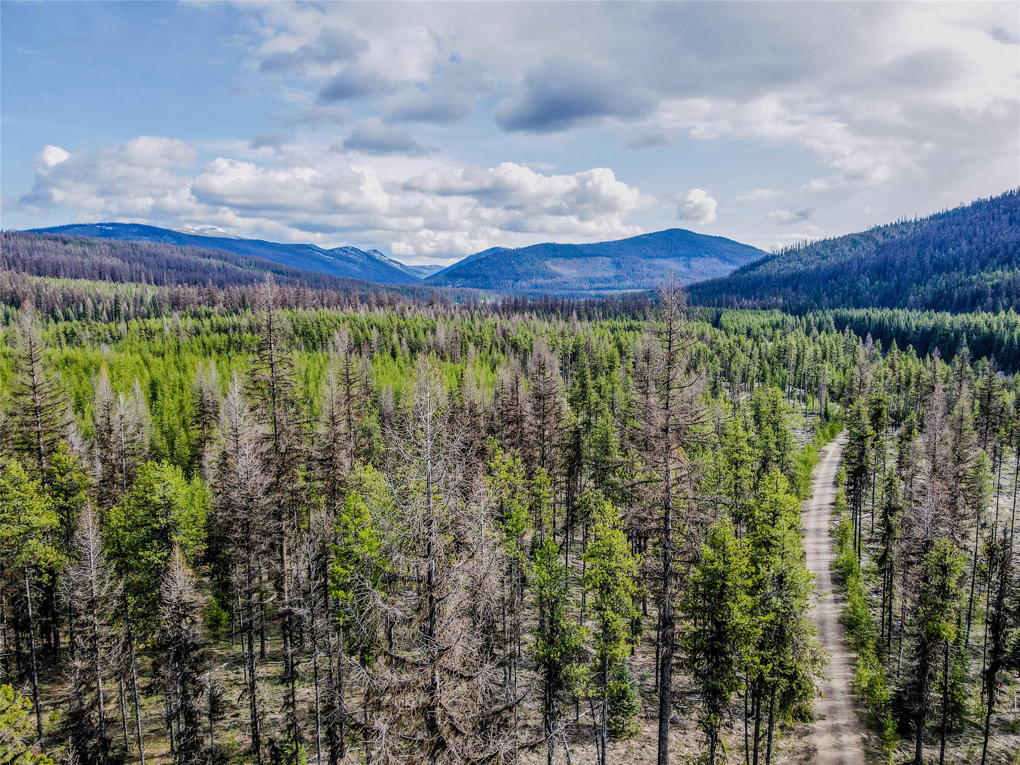 1656 N Fork Yaak Road Property Photo 39