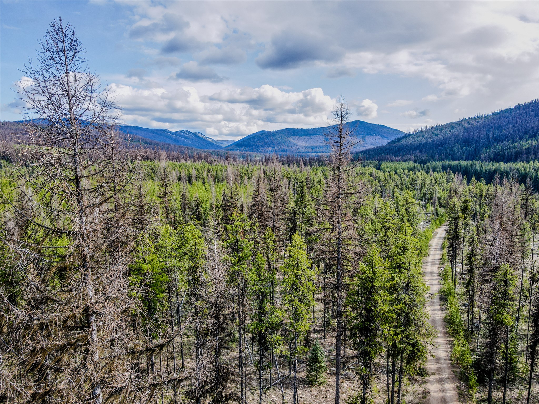 1656 N Fork Yaak Road Property Photo 40