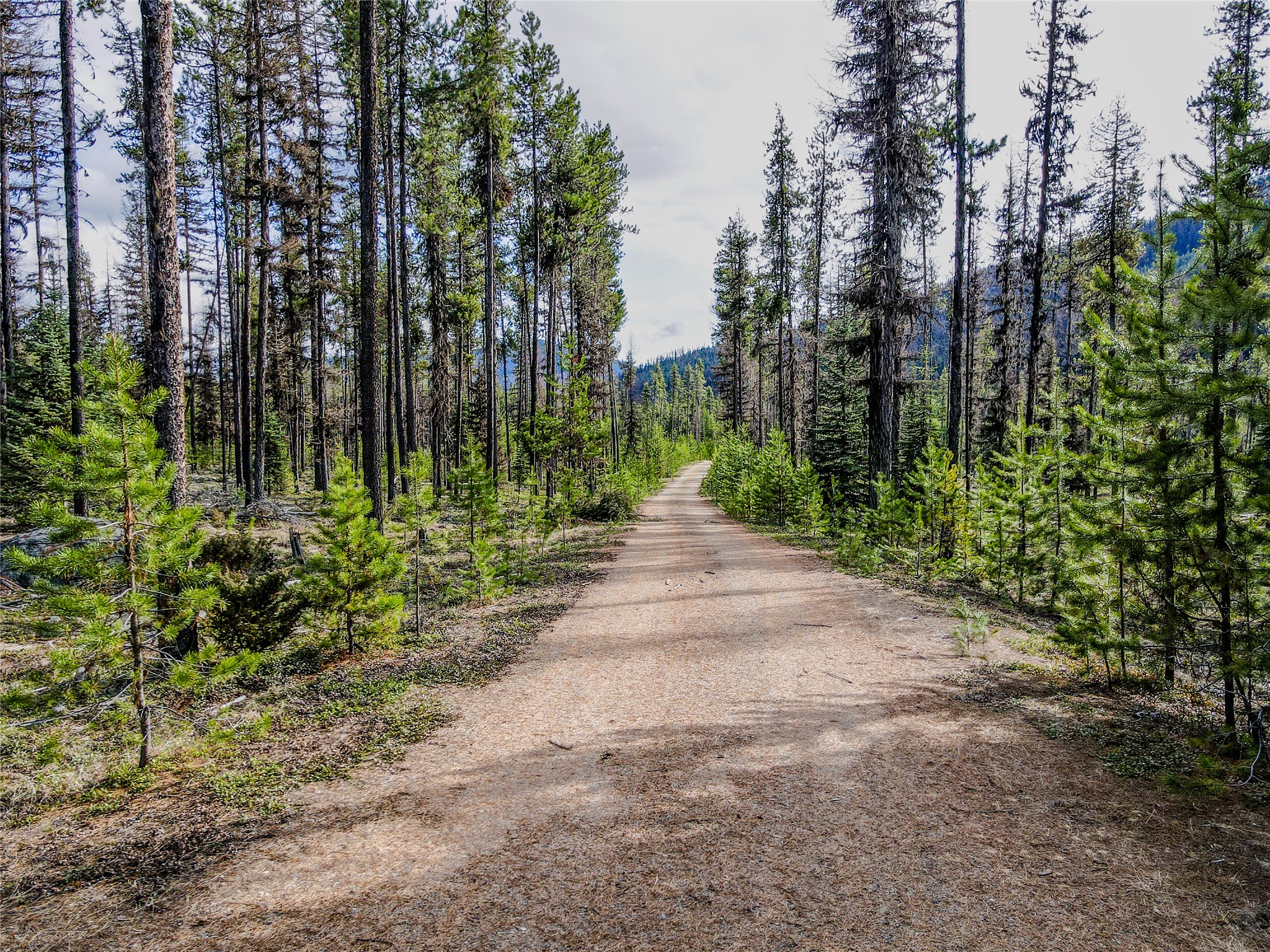1656 N Fork Yaak Road Property Photo 41