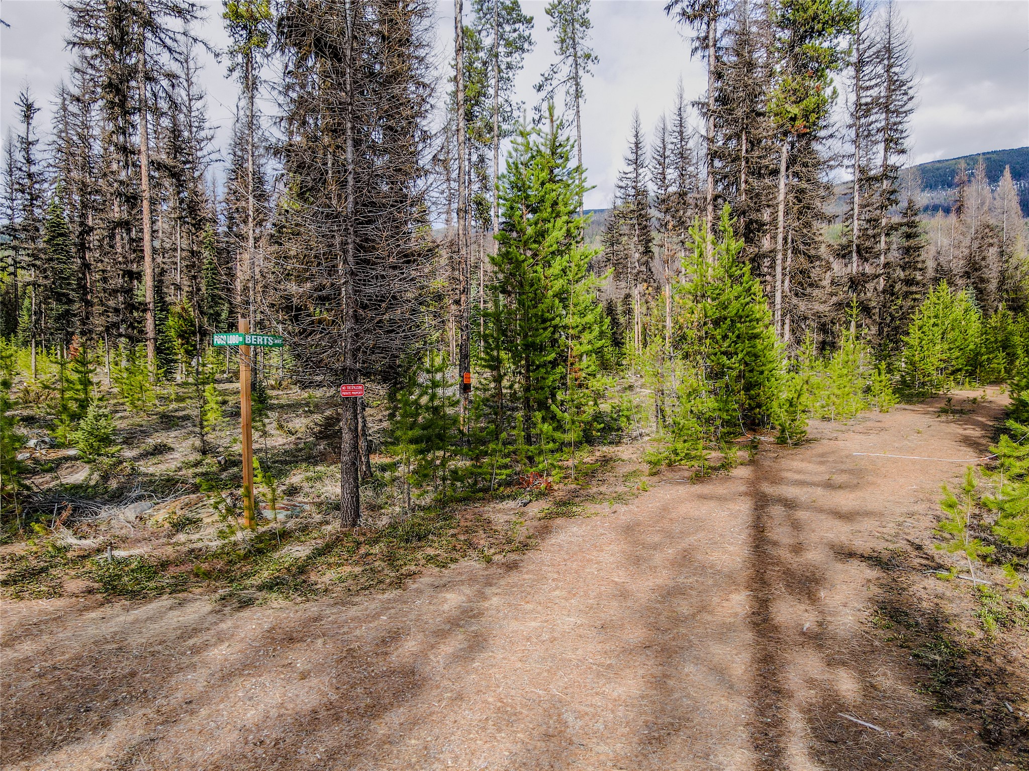 1656 N Fork Yaak Road Property Photo 42
