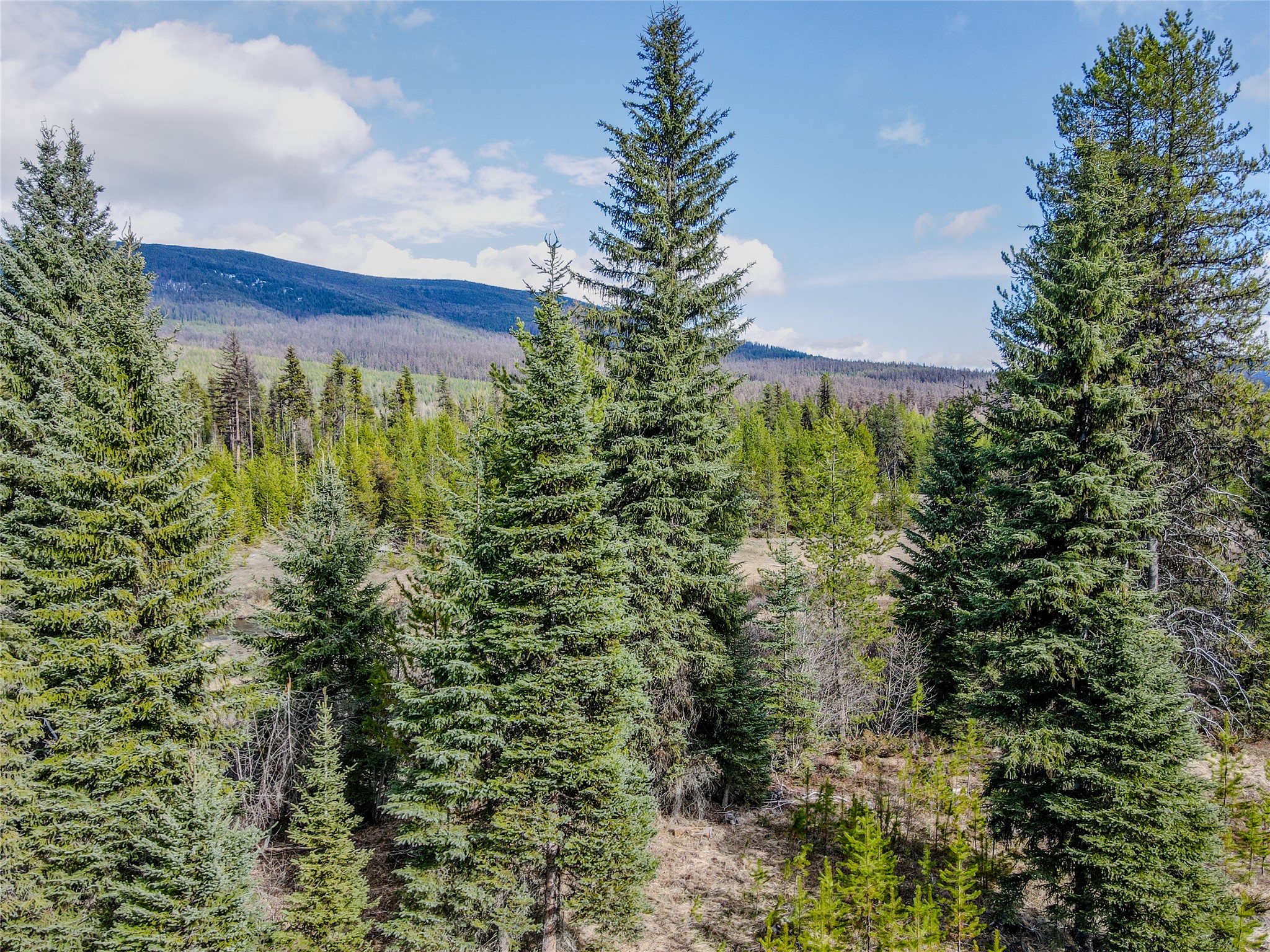 1656 N Fork Yaak Road Property Photo 49