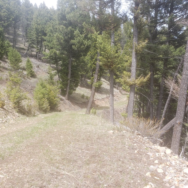 Nhn Wyman Gulch Road Property Photo