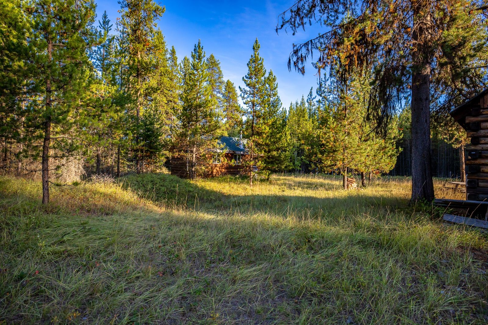 345 River Drive Property Photo 6