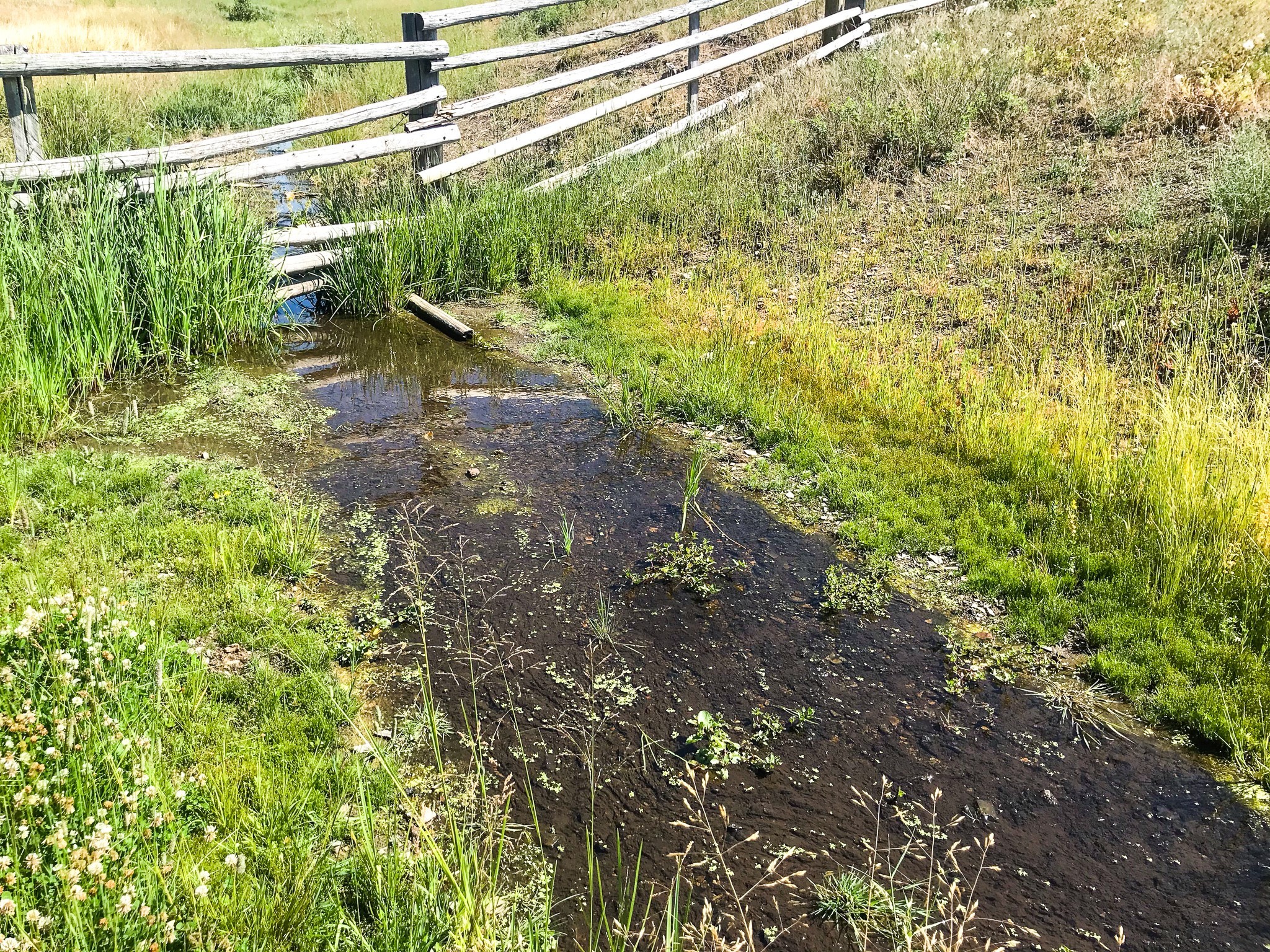 Tbd Upper Deep Creek Property Photo 1