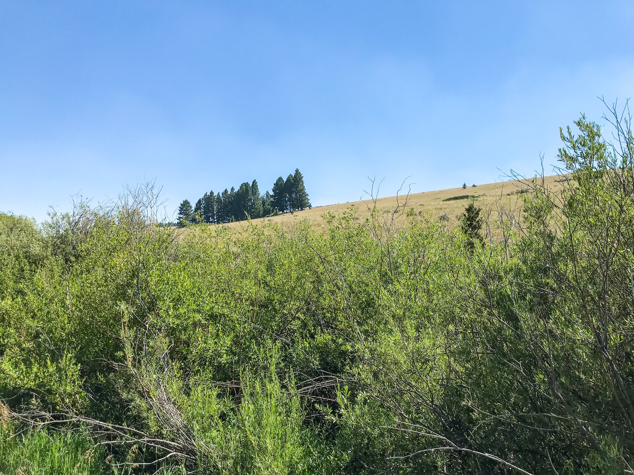 Tbd Upper Deep Creek Property Photo 2