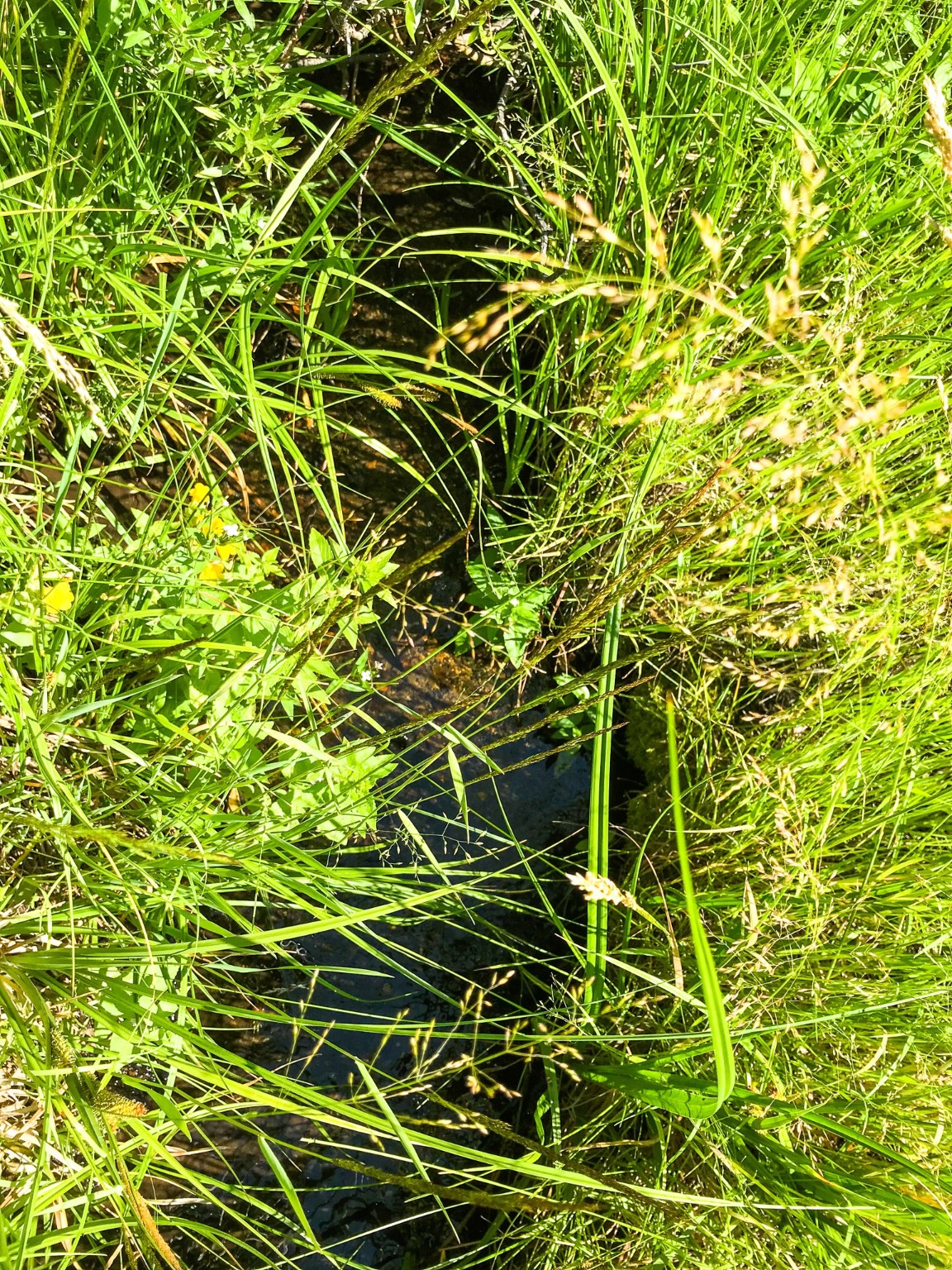 Tbd Upper Deep Creek Property Photo 3