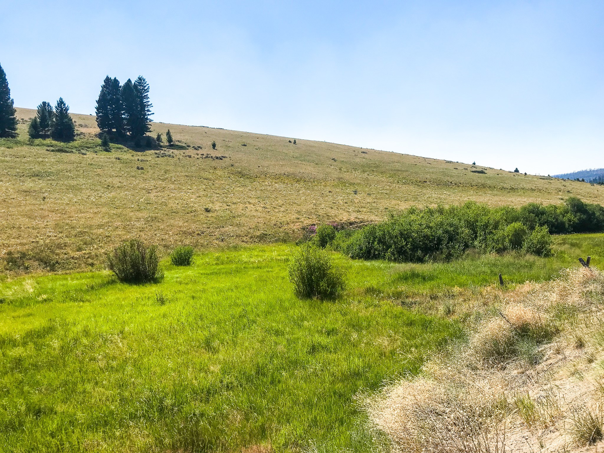 Tbd Upper Deep Creek Property Photo 4