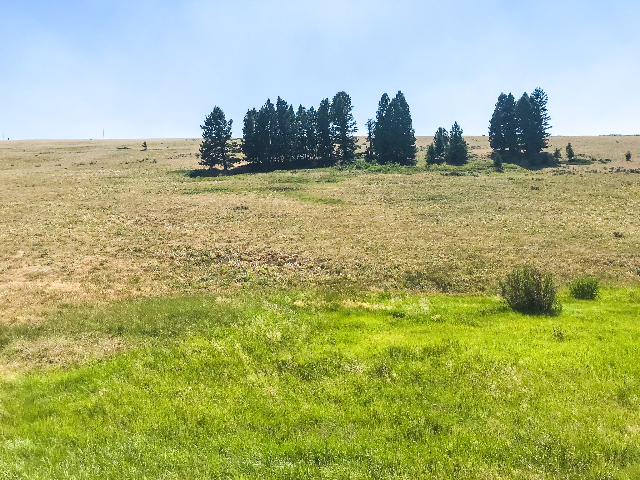 Tbd Upper Deep Creek Property Photo 5