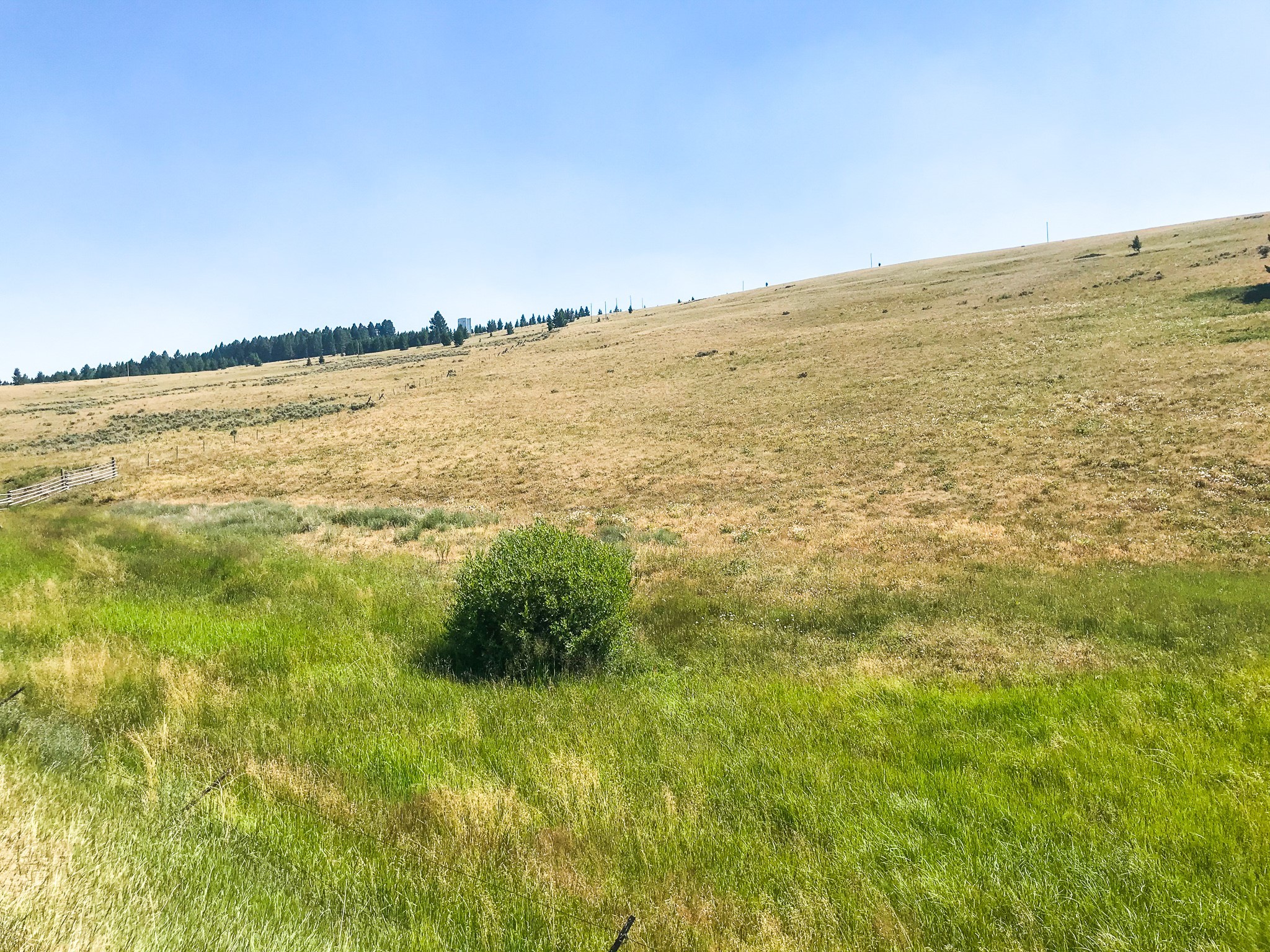 Tbd Upper Deep Creek Property Photo 6