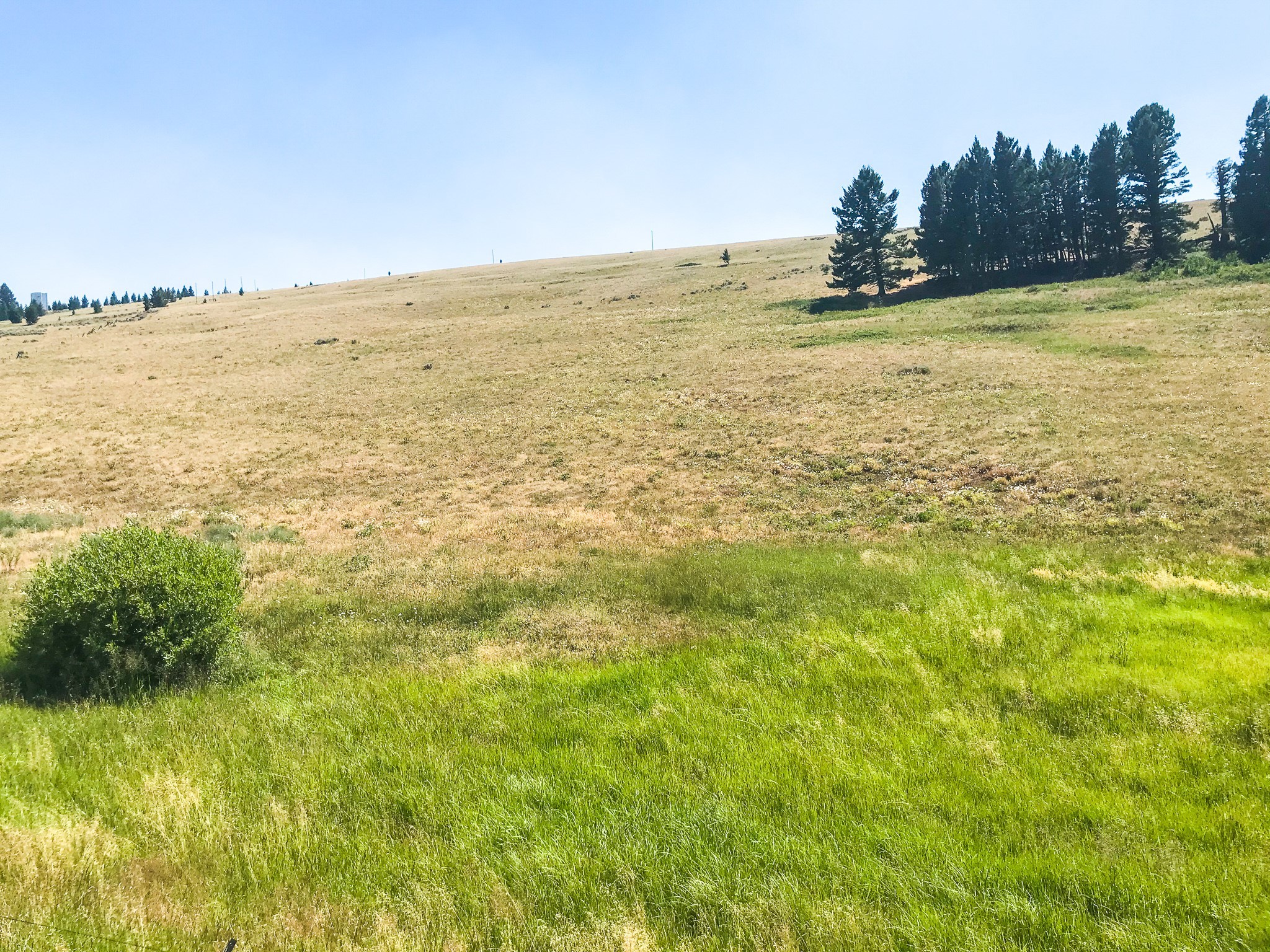 Tbd Upper Deep Creek Property Photo 7