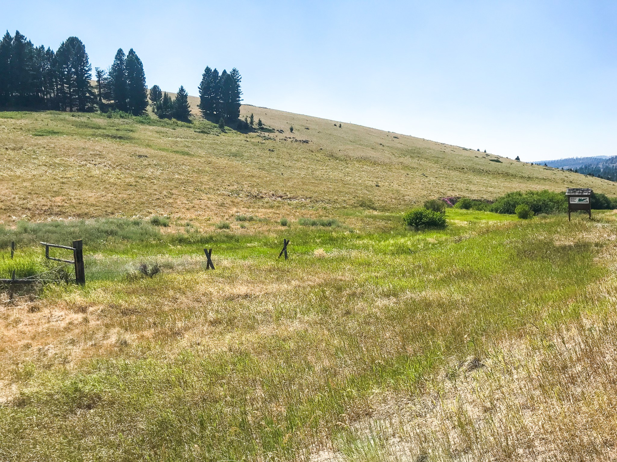 Tbd Upper Deep Creek Property Photo 9