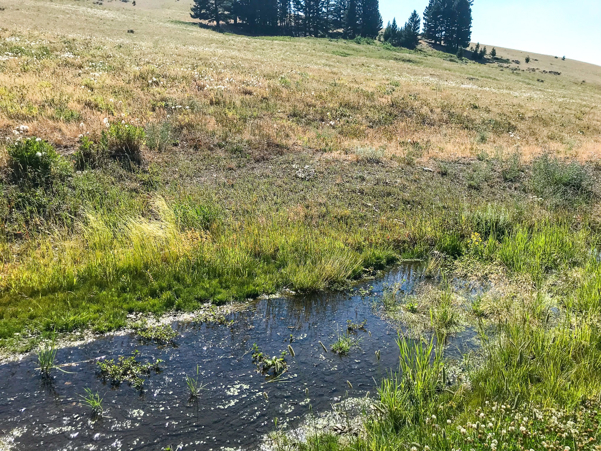 Tbd Upper Deep Creek Property Photo 10
