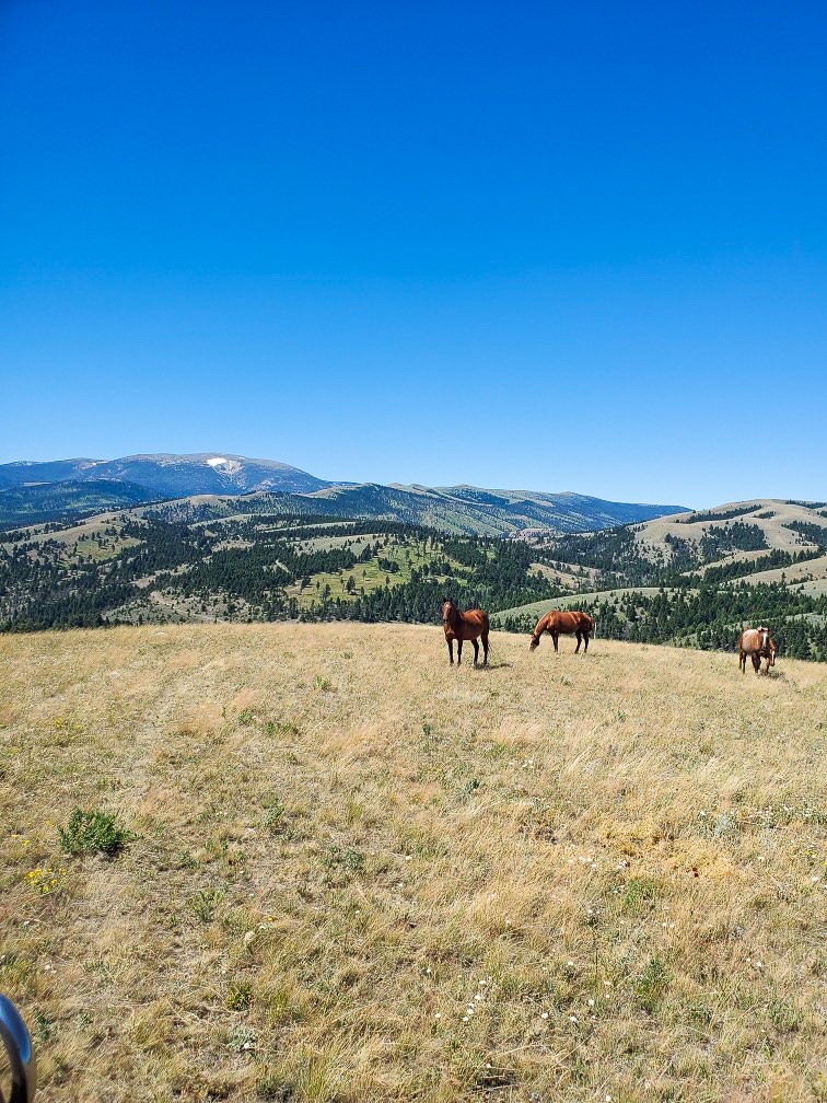 Tbd Upper Deep Creek Property Photo 13