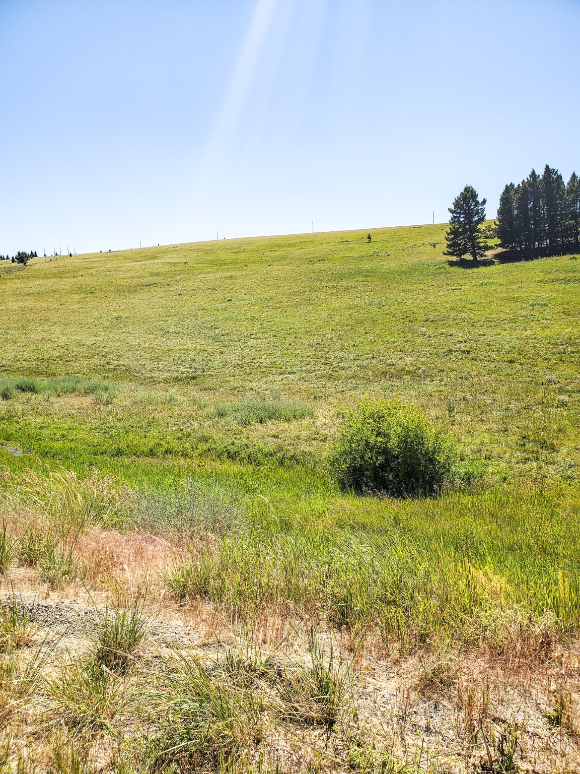 Tbd Upper Deep Creek Property Photo 14