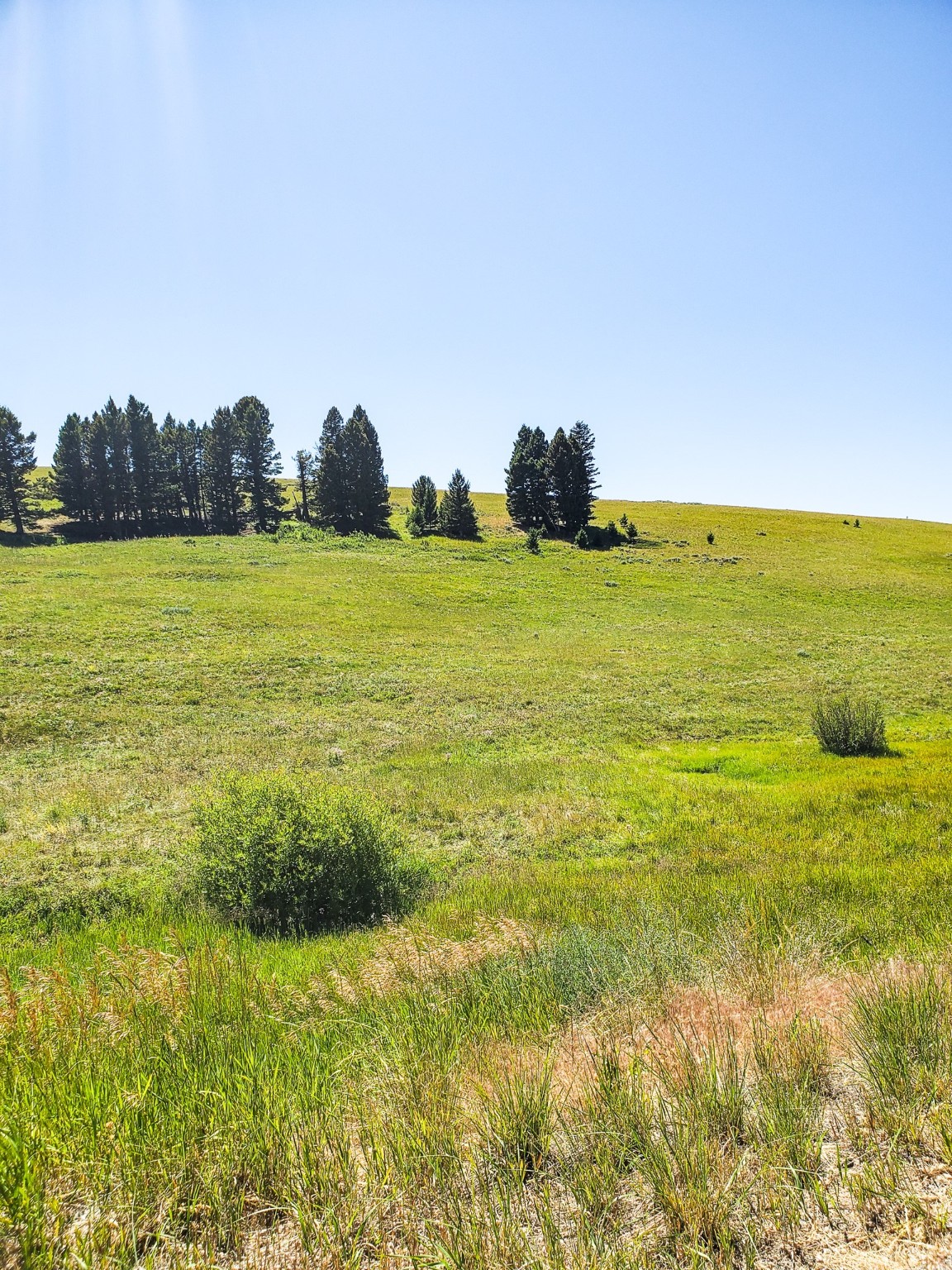 Tbd Upper Deep Creek Property Photo 15