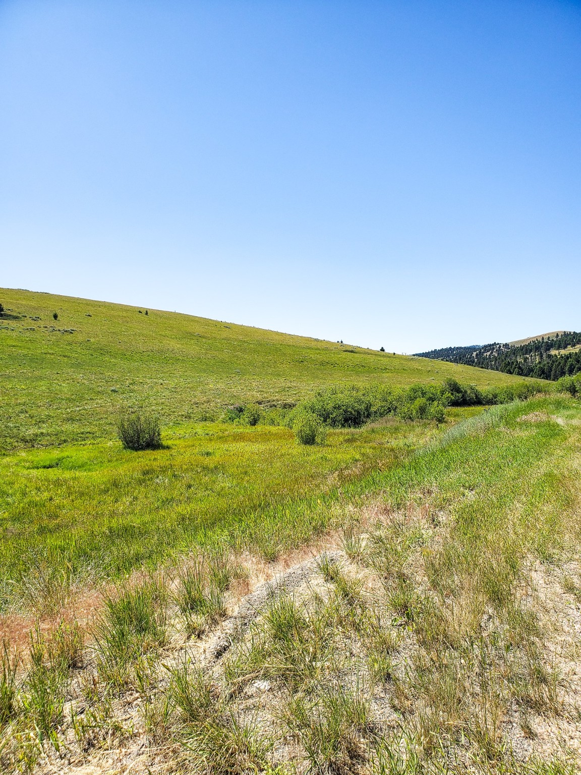 Tbd Upper Deep Creek Property Photo 16
