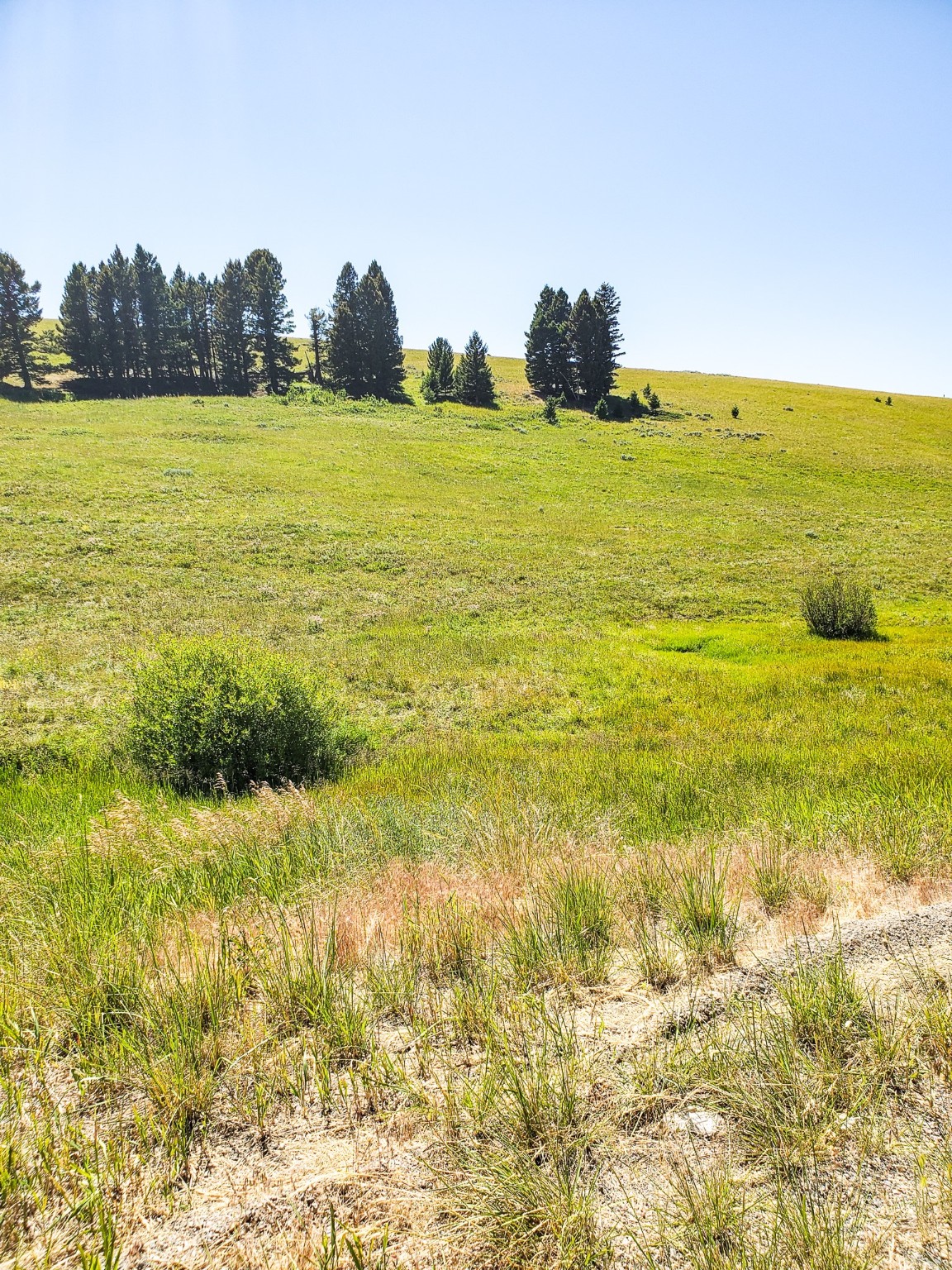 Tbd Upper Deep Creek Property Photo 17