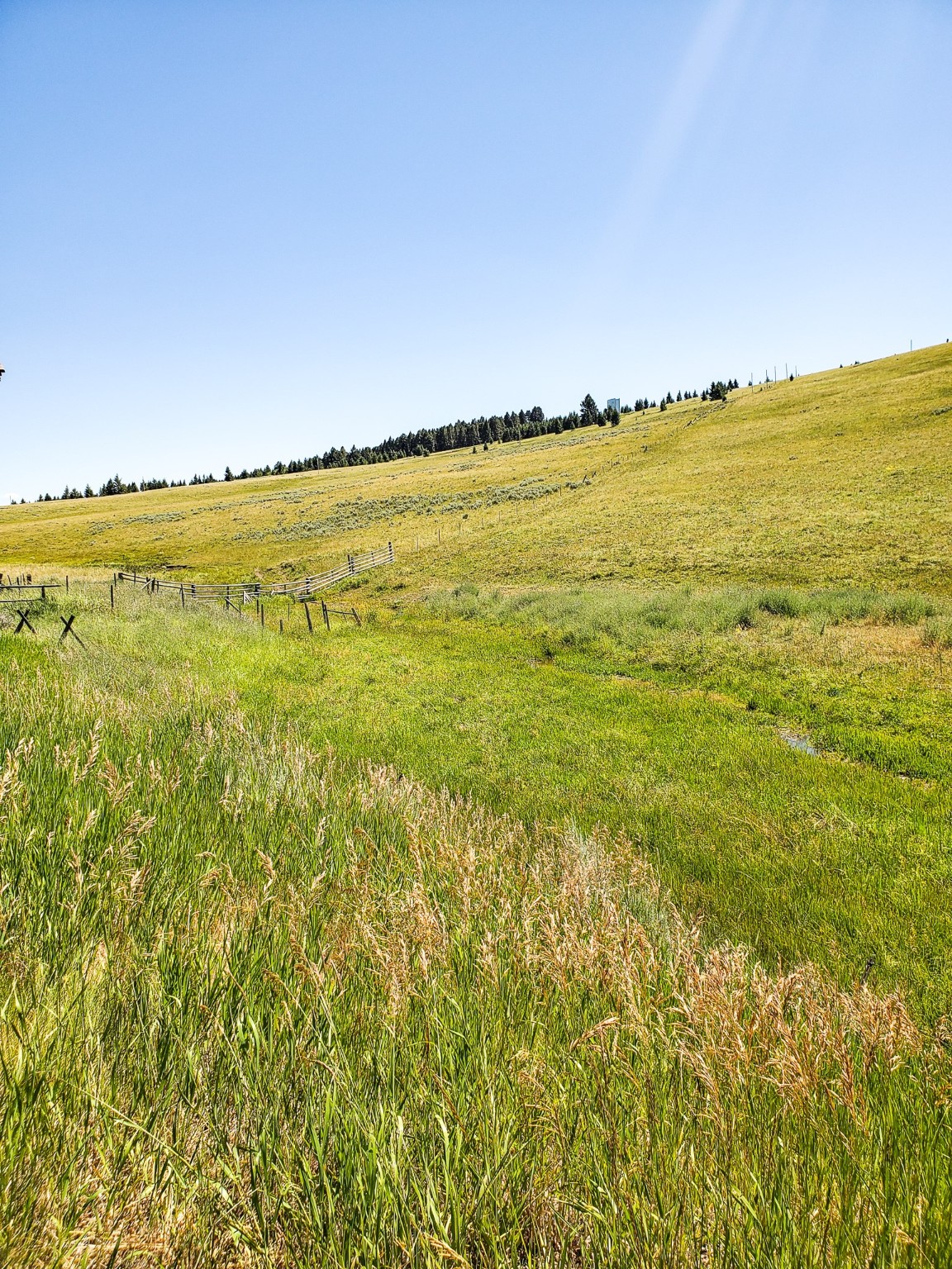 Tbd Upper Deep Creek Property Photo 18