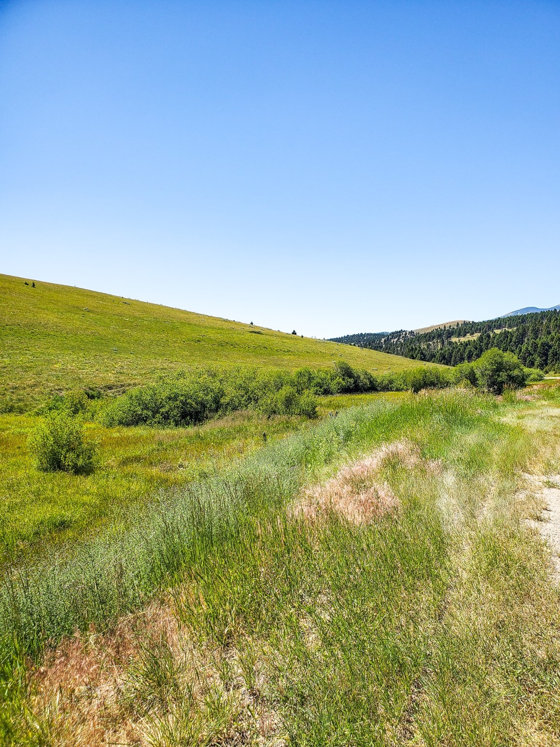 Tbd Upper Deep Creek Property Photo 19
