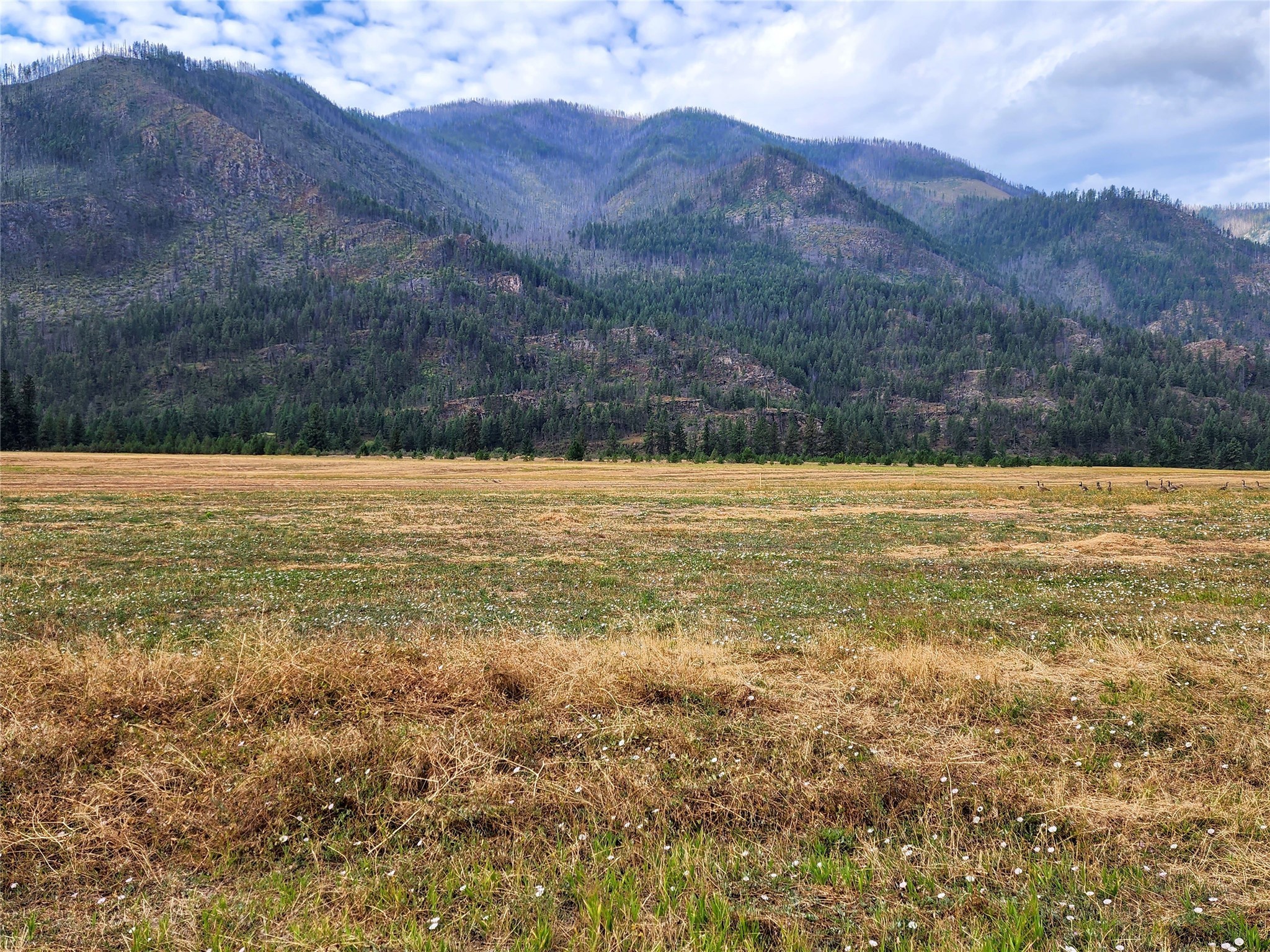 Lot 5 Harbine Ranch Road