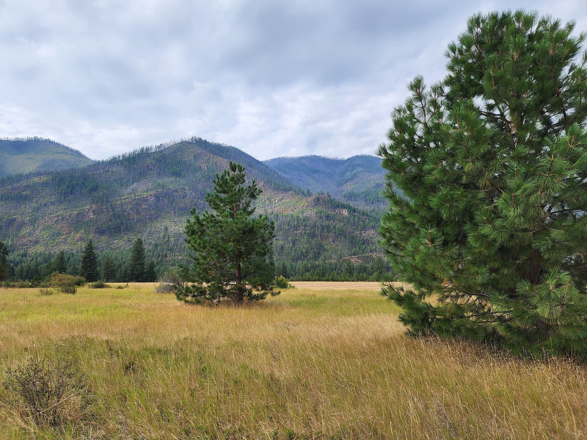 Lot 4 Harbine Ranch Road Property Photo 1