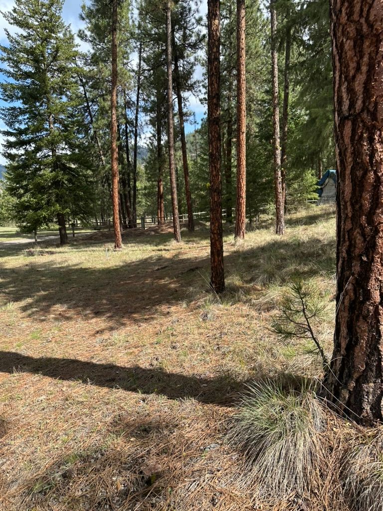 61 Saddle Club Road Property Photo 14