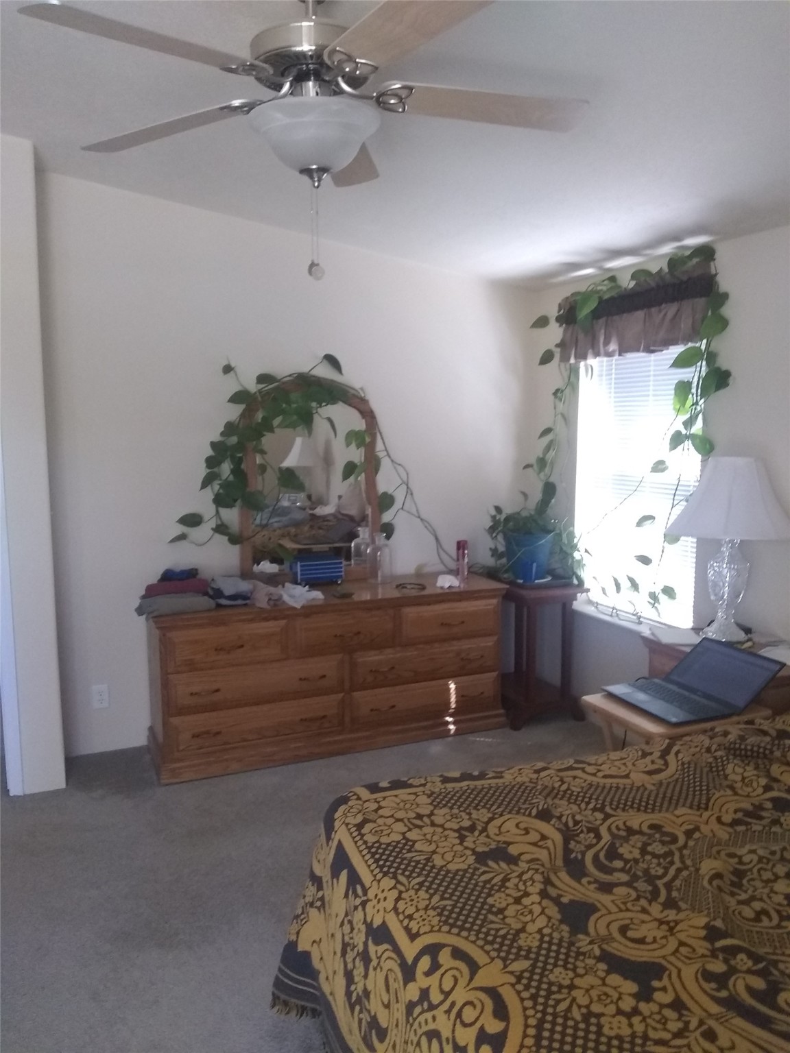 61 Saddle Club Road Property Photo 17