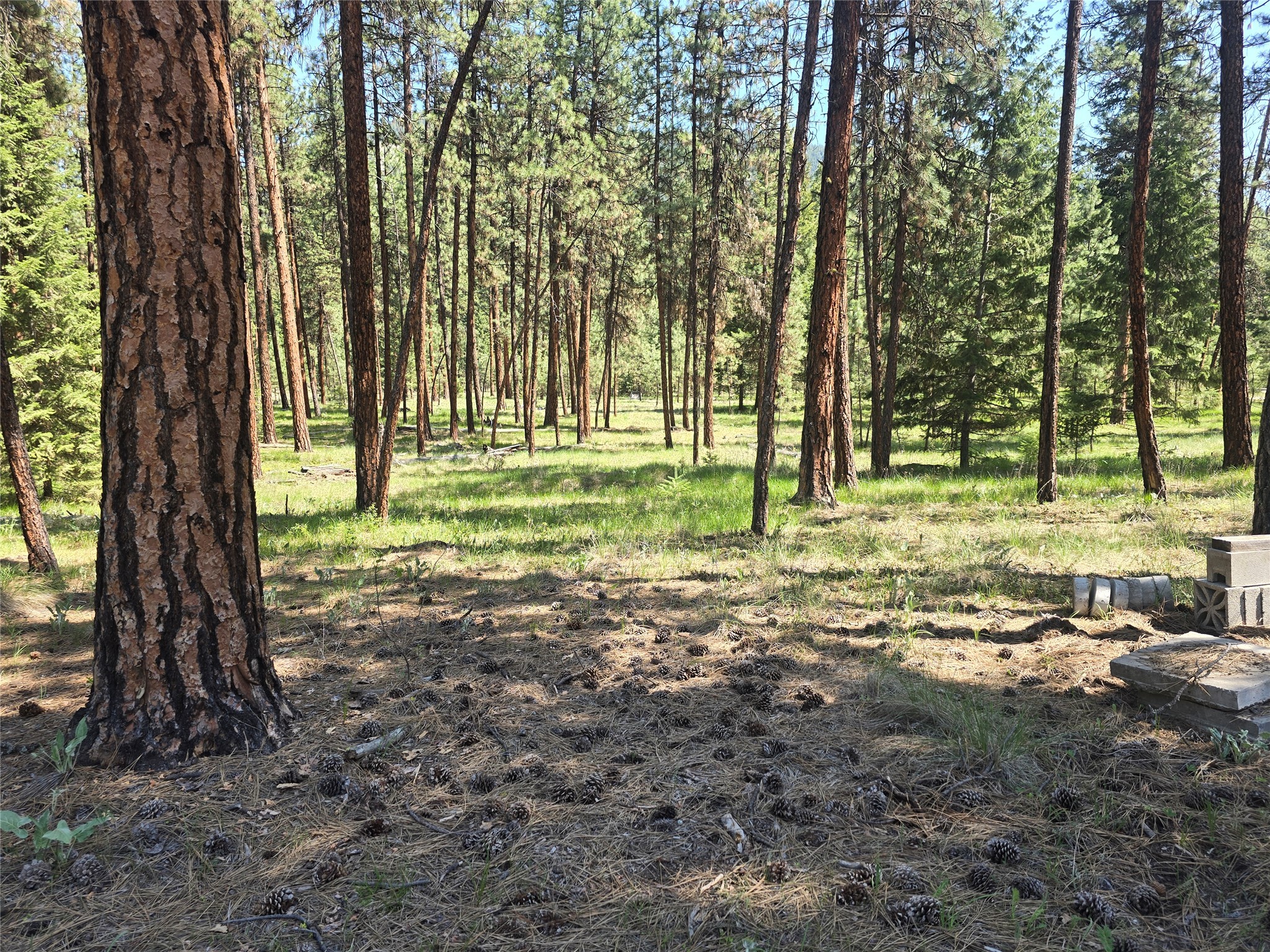 61 Saddle Club Road Property Photo 62