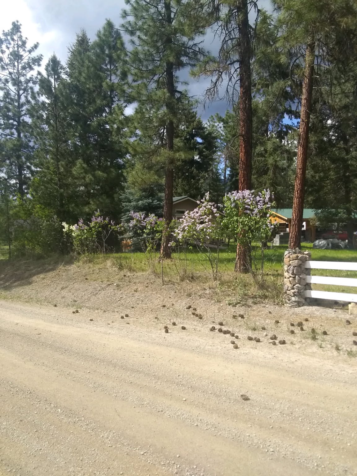 61 Saddle Club Road Property Photo 65