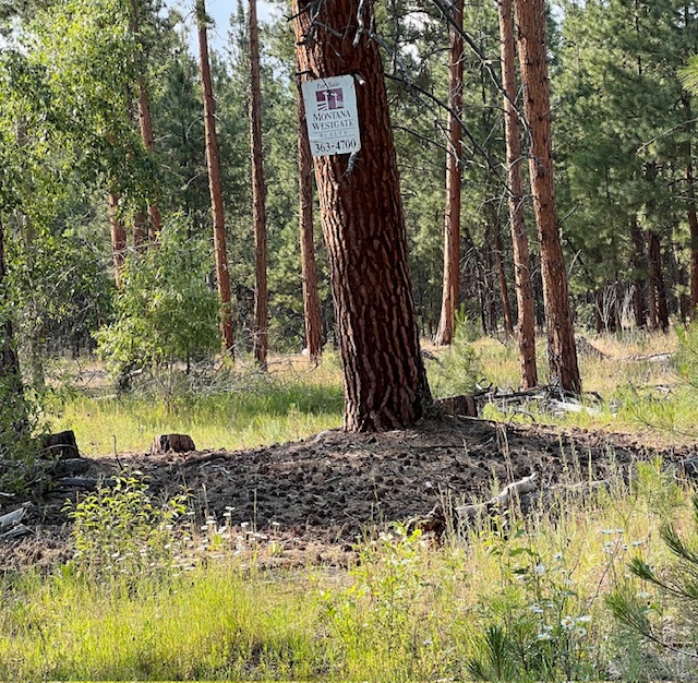 Nhn Blair Lane Property Photo