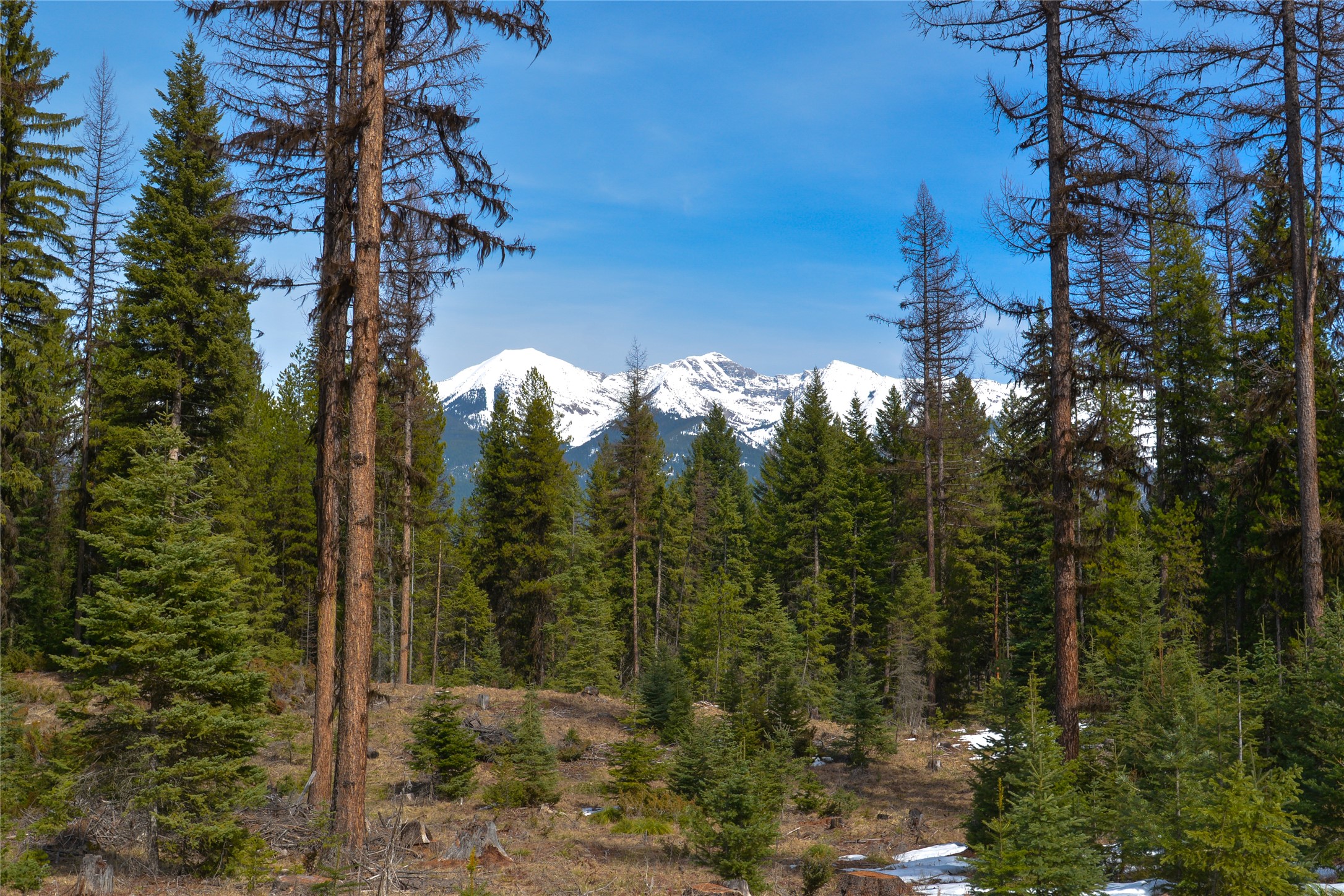 Nhn Scenic Drive Property Photo 1