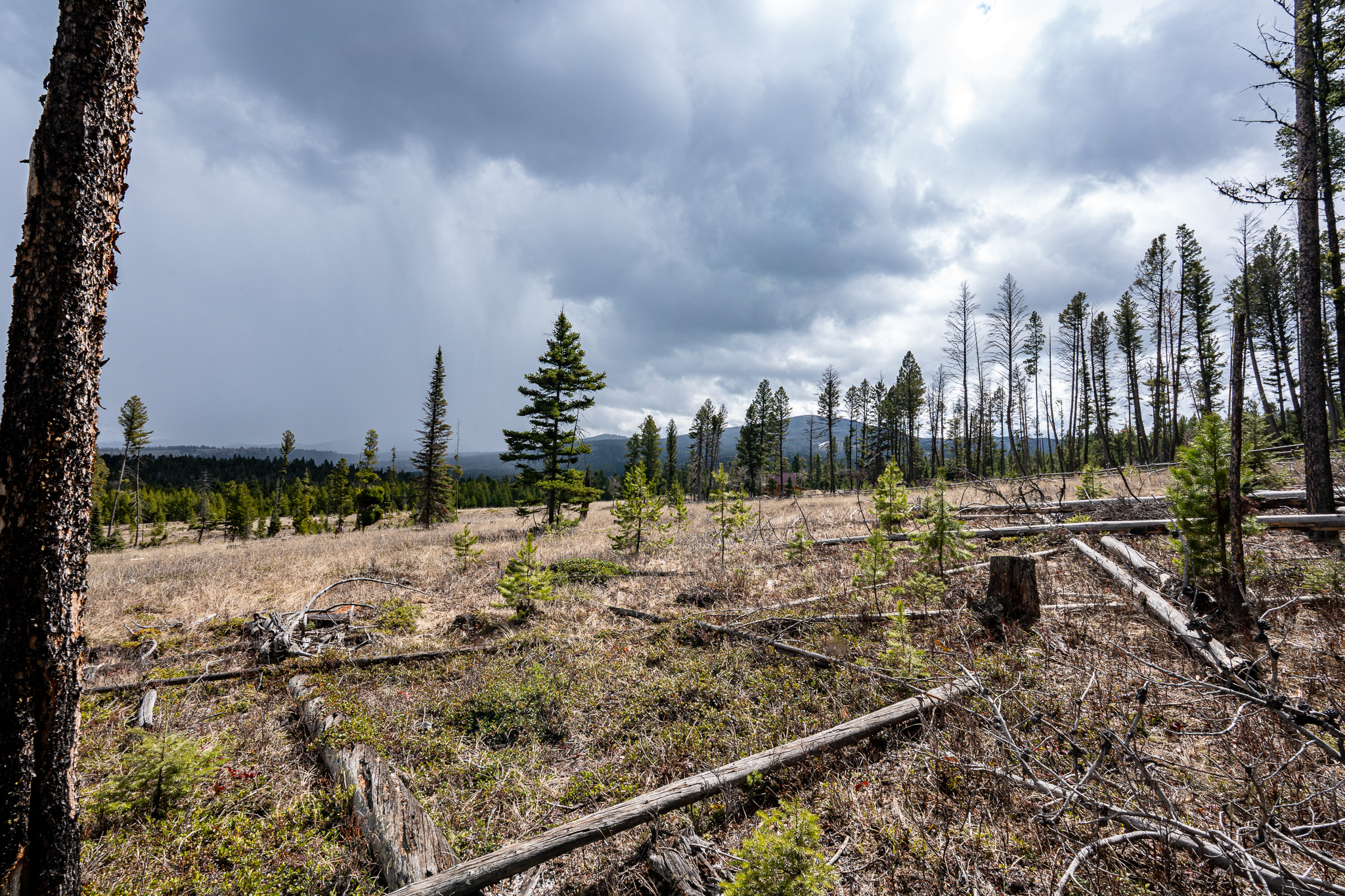 Nhn Bear Gulch Road Property Photo
