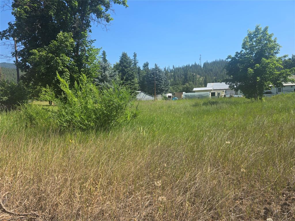 207 Spruce Street Property Photo