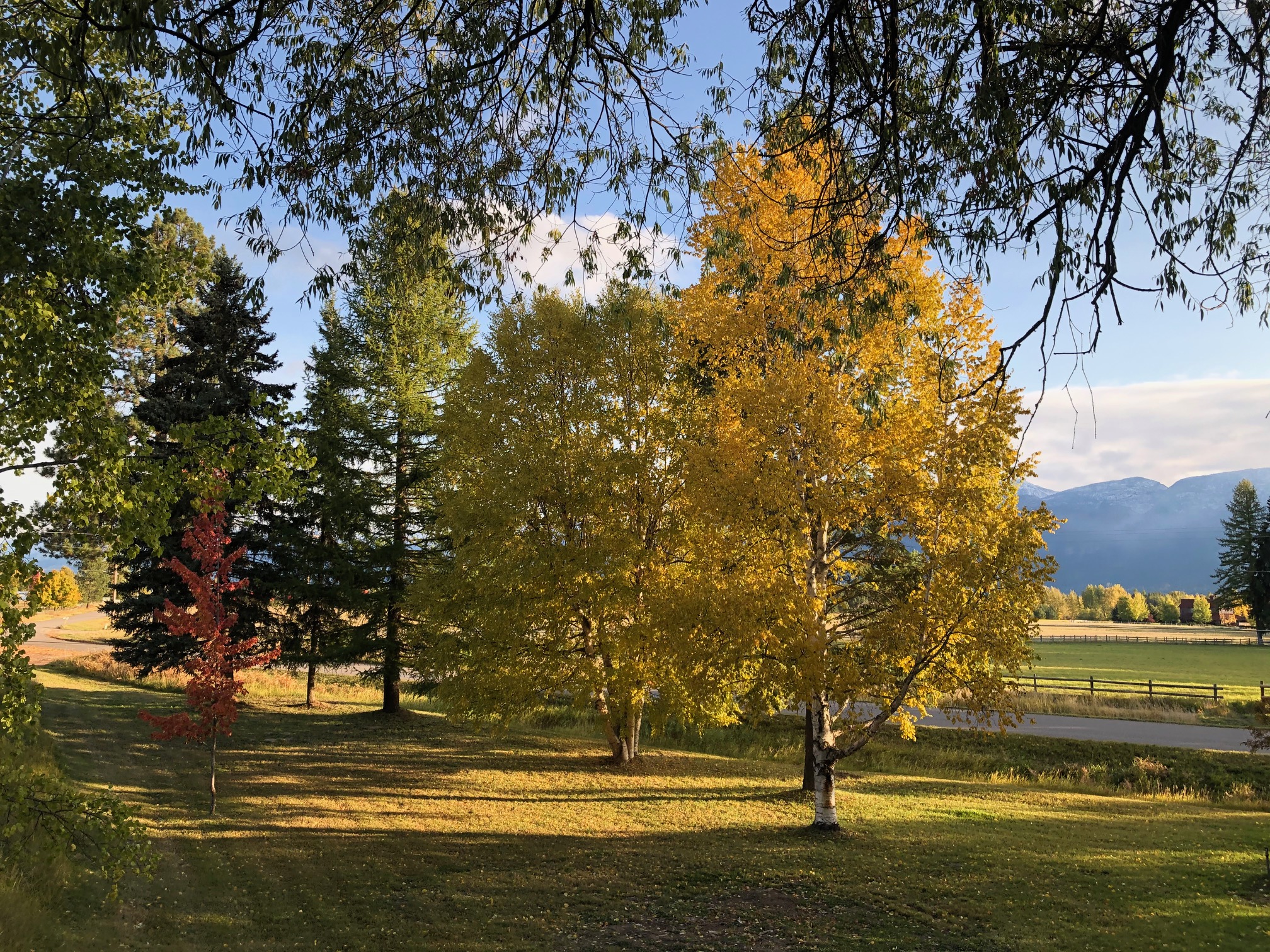 734 Swan River Road Property Photo 8