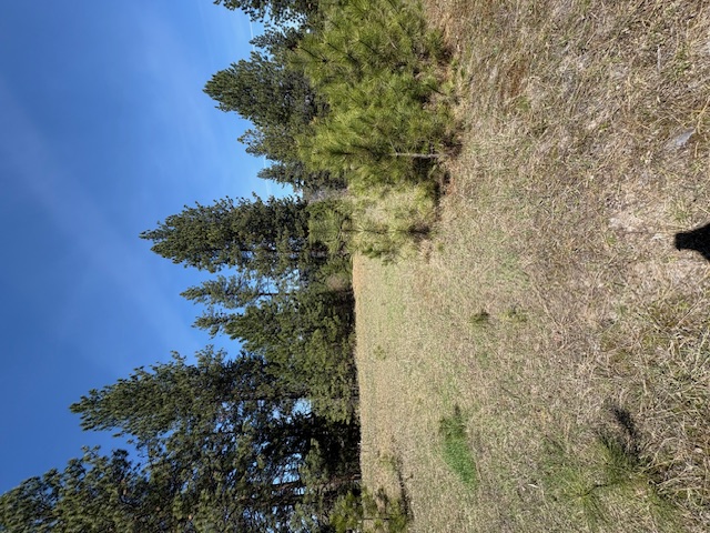 Lot 3a River Run Loop Property Photo