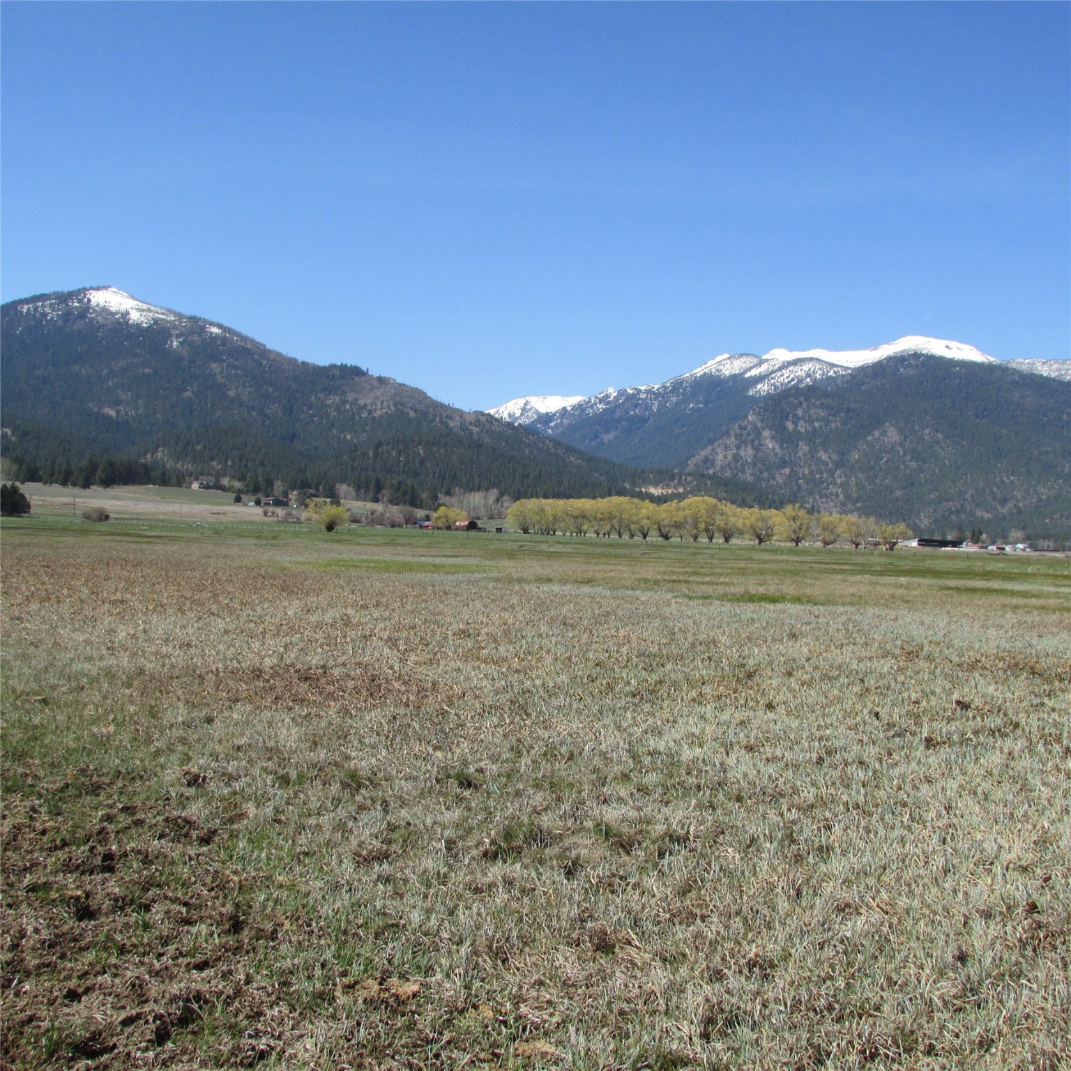 Nhn Meridian Road Property Photo