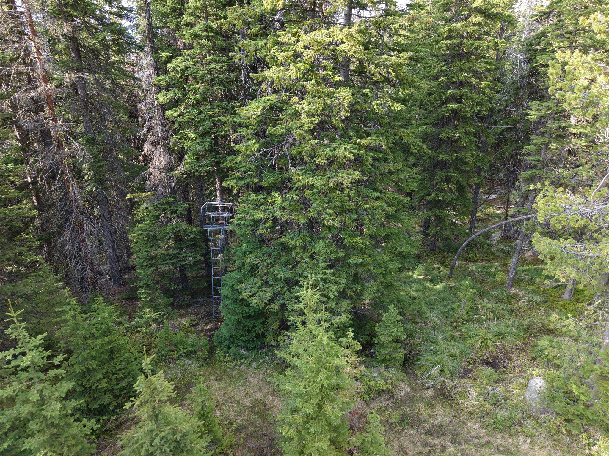 NHN Jack Creek
