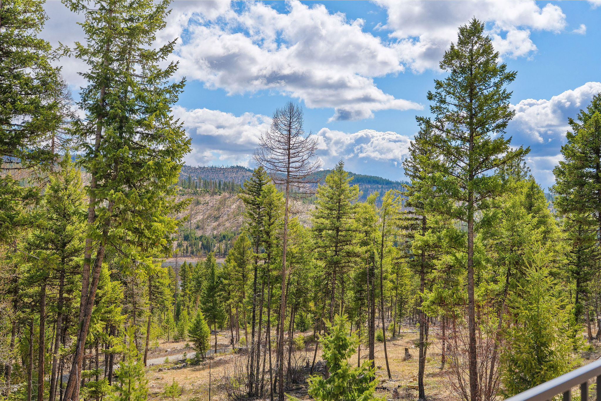 87 Hodge Ridge Property Photo 27