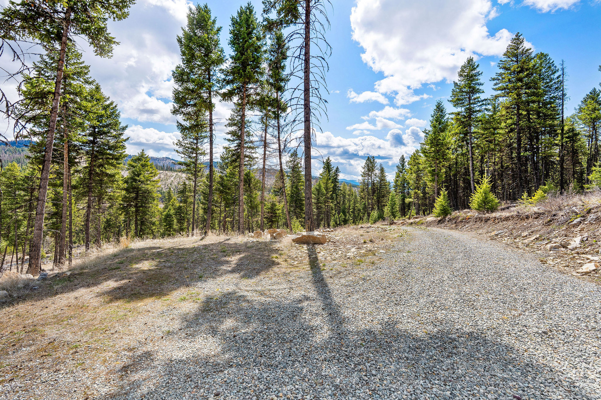 87 Hodge Ridge Property Photo 33