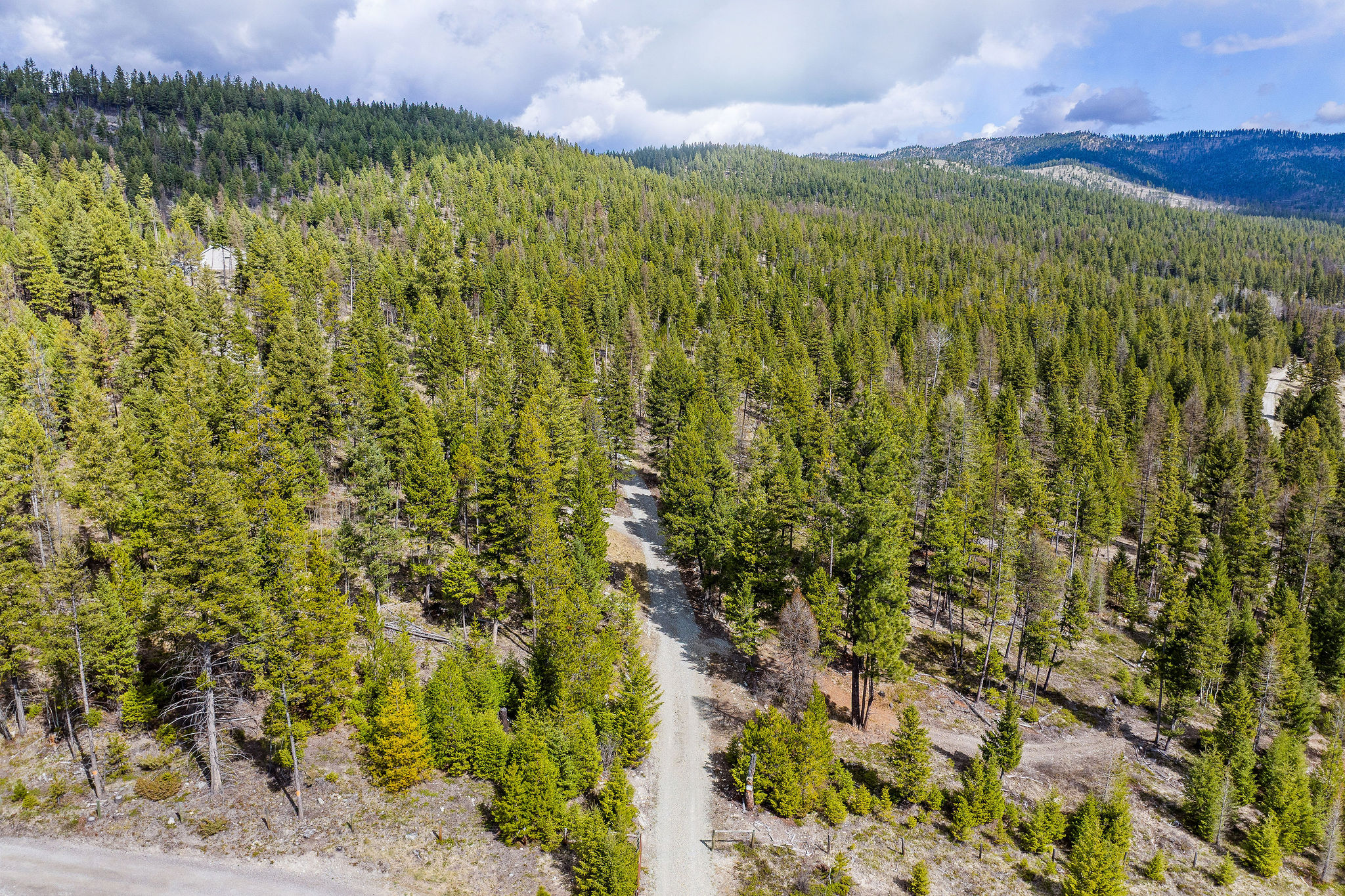 87 Hodge Ridge Property Photo 39