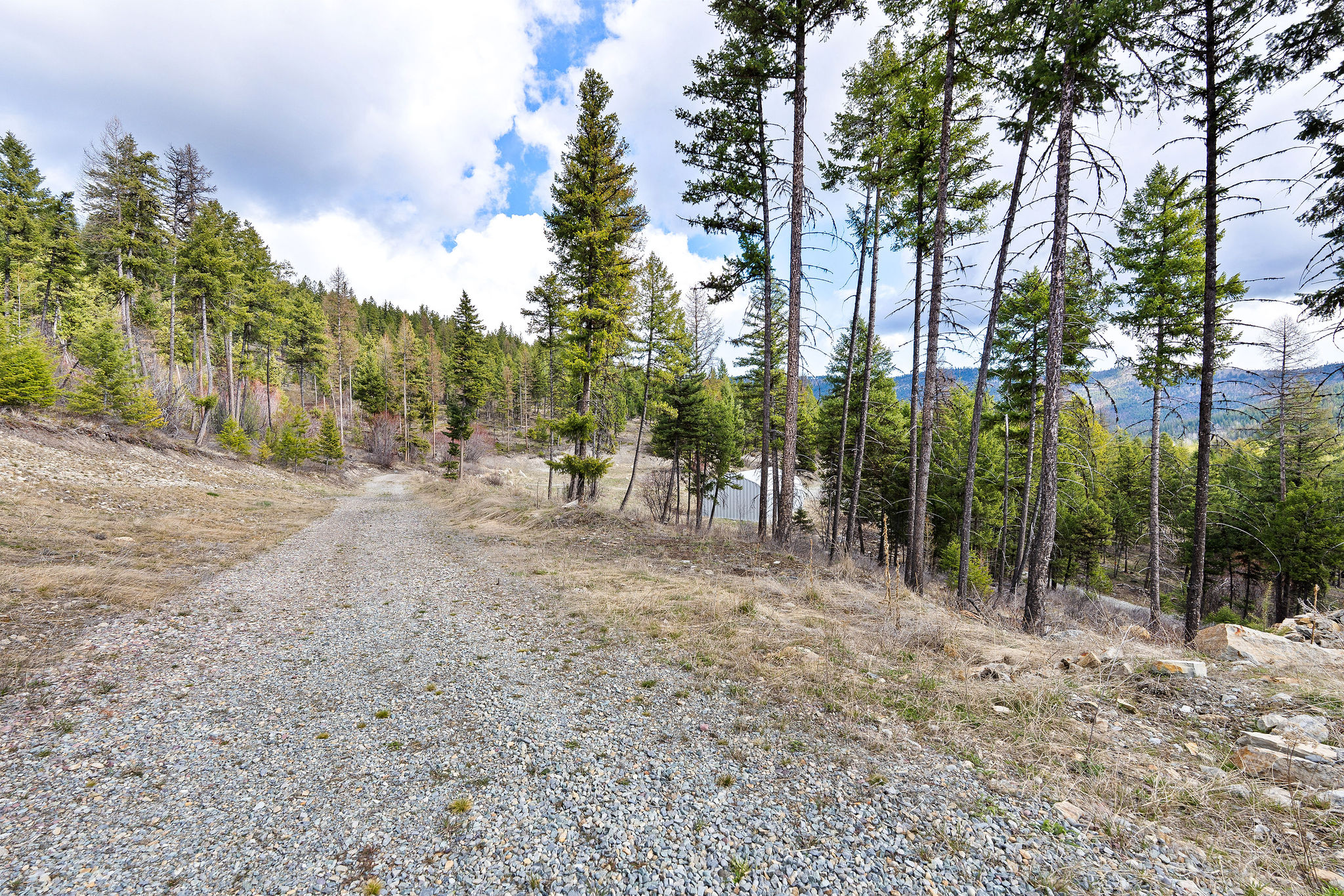 87 Hodge Ridge Property Photo 40