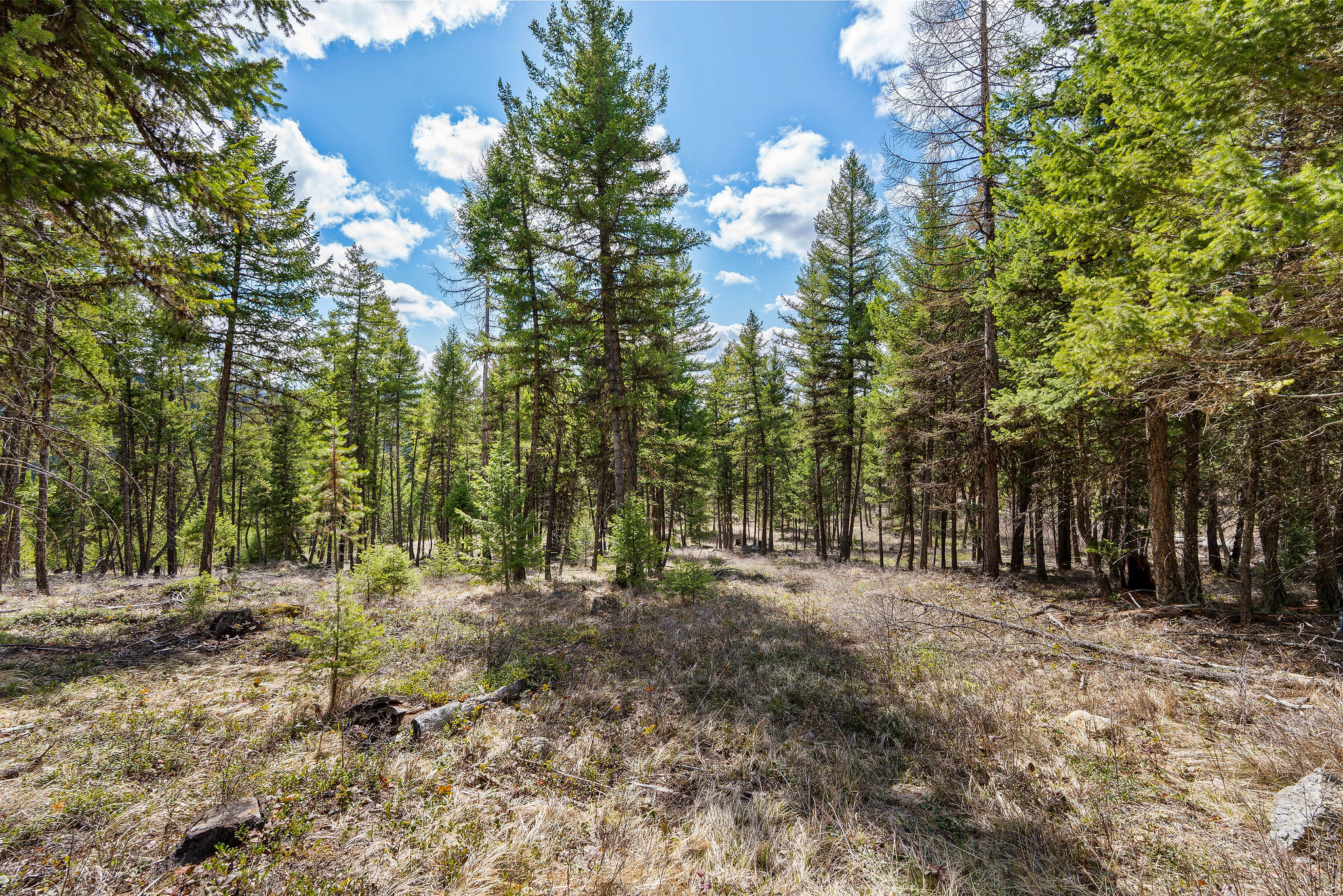 87 Hodge Ridge Property Photo 41