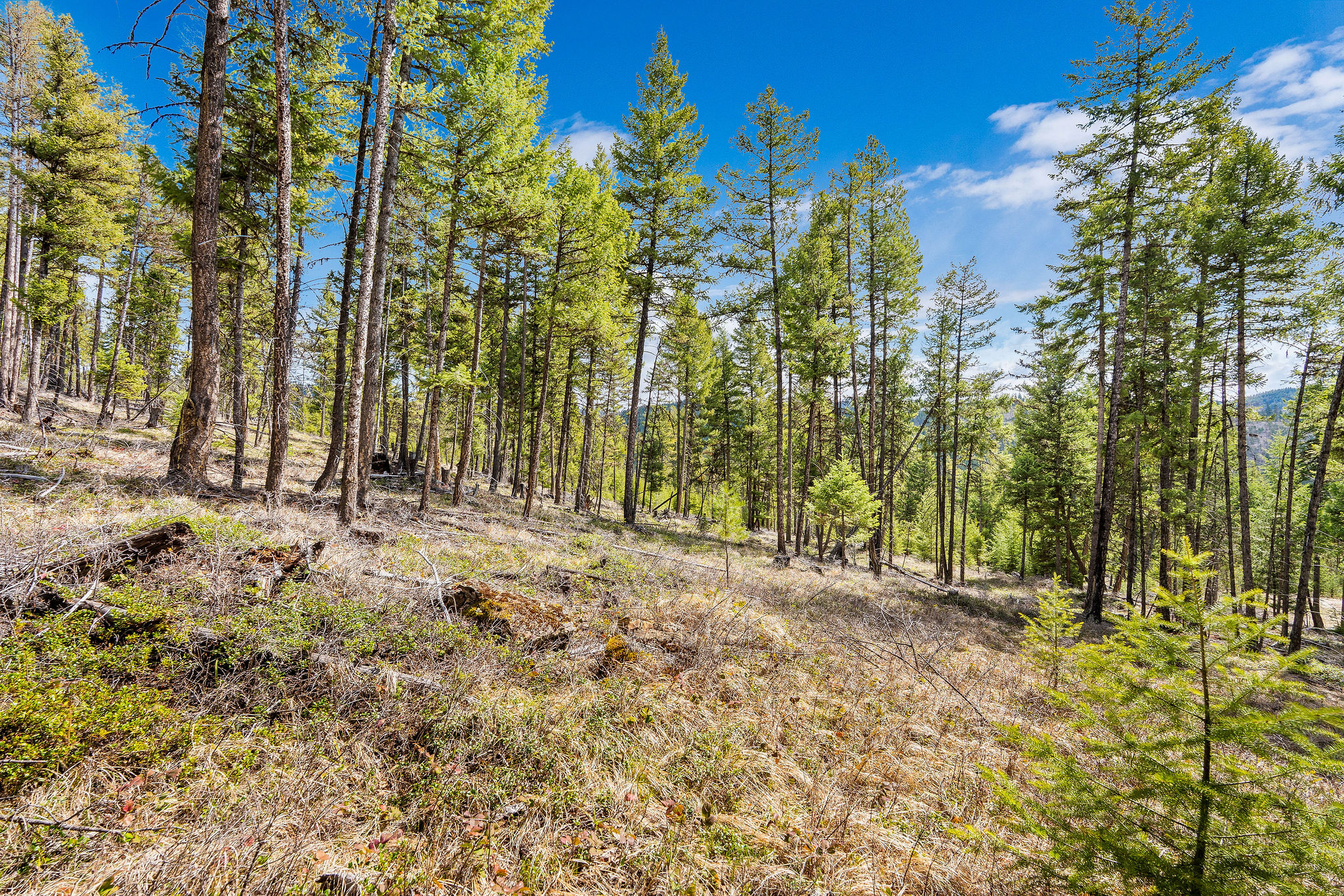 87 Hodge Ridge Property Photo 42