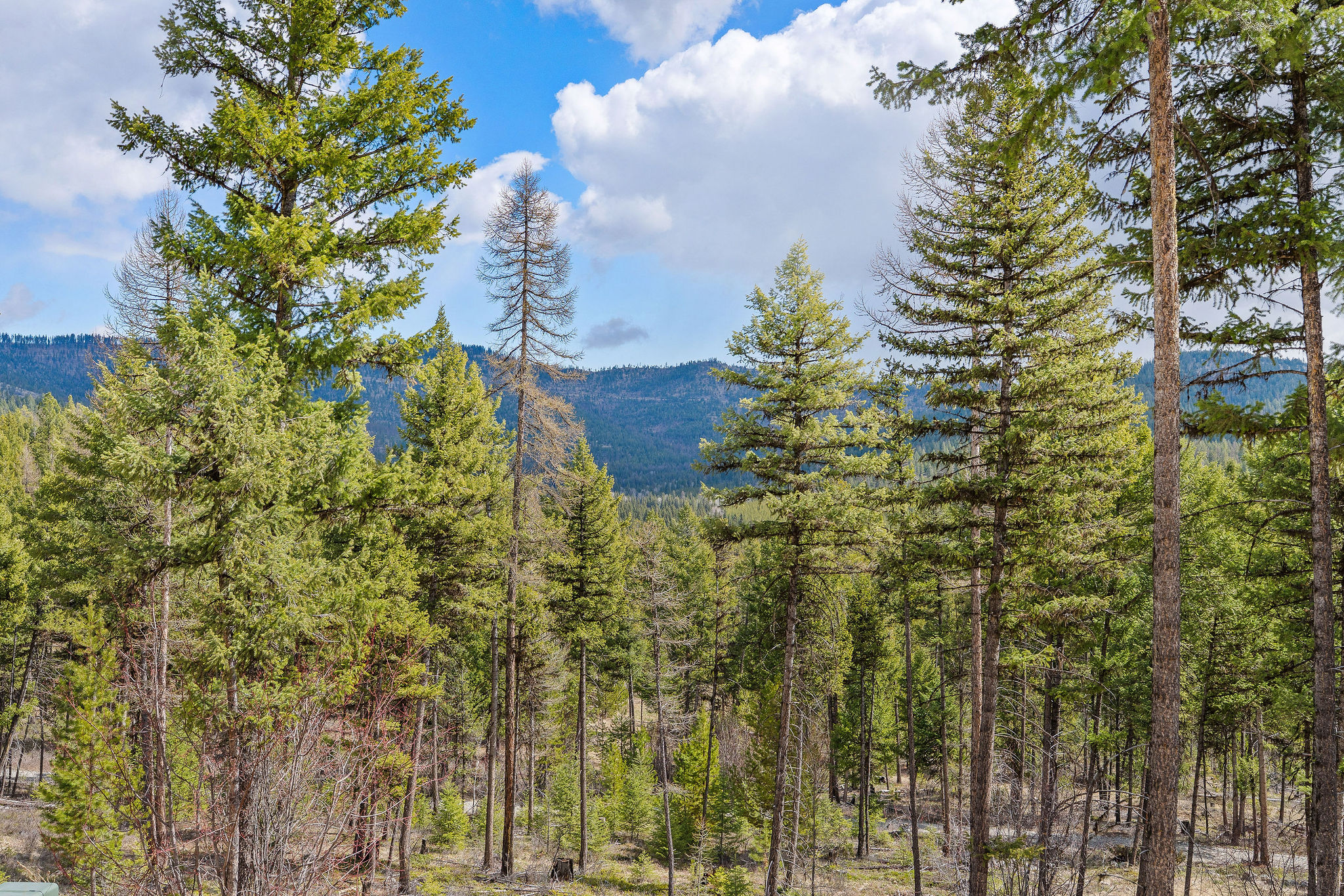 87 Hodge Ridge Property Photo 43