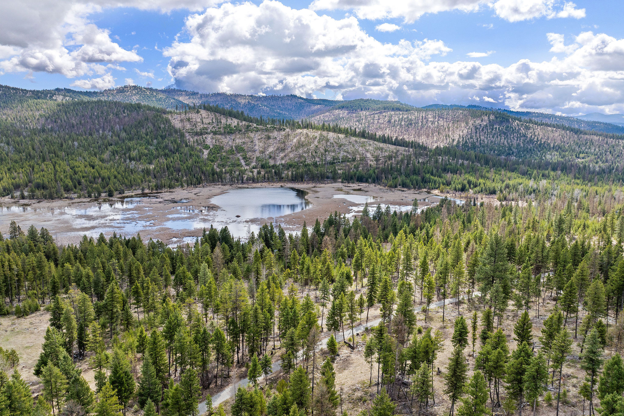 87 Hodge Ridge Property Photo 47