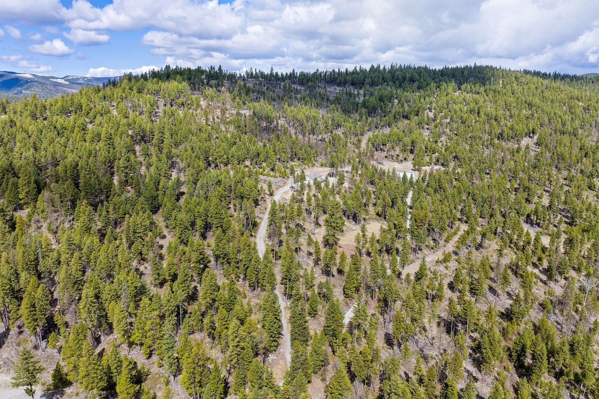 87 Hodge Ridge Property Photo 49